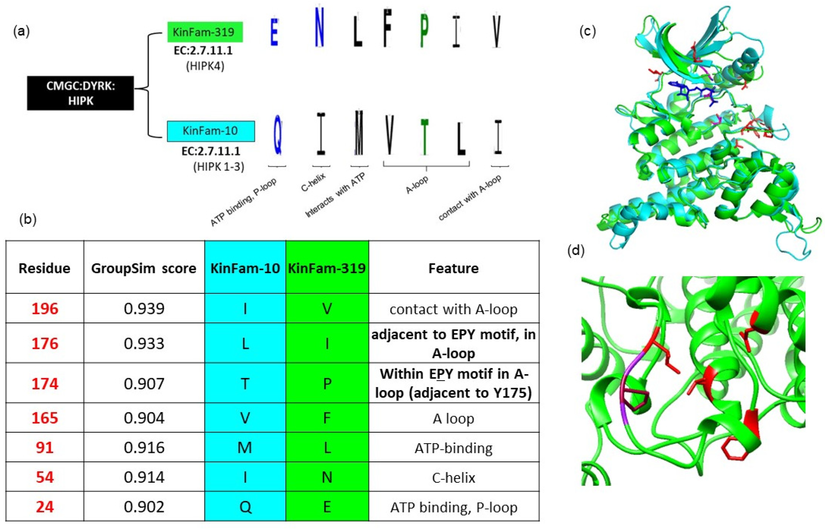 Biomolecules 13 00277 g010 Biomolecules 13 00277 g010