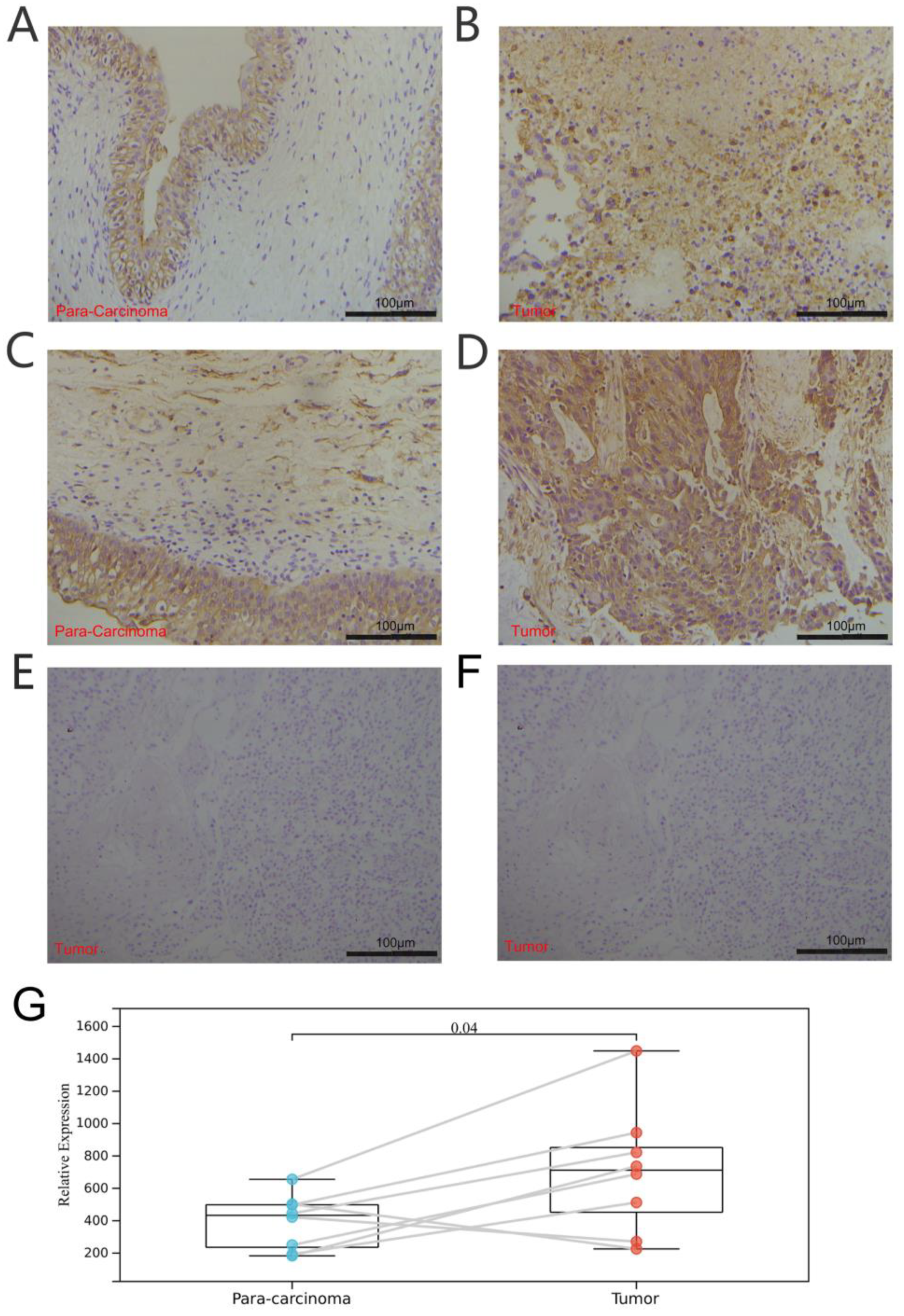 Biomolecules 13 00282 g011 Biomolecules 13 00282 g011