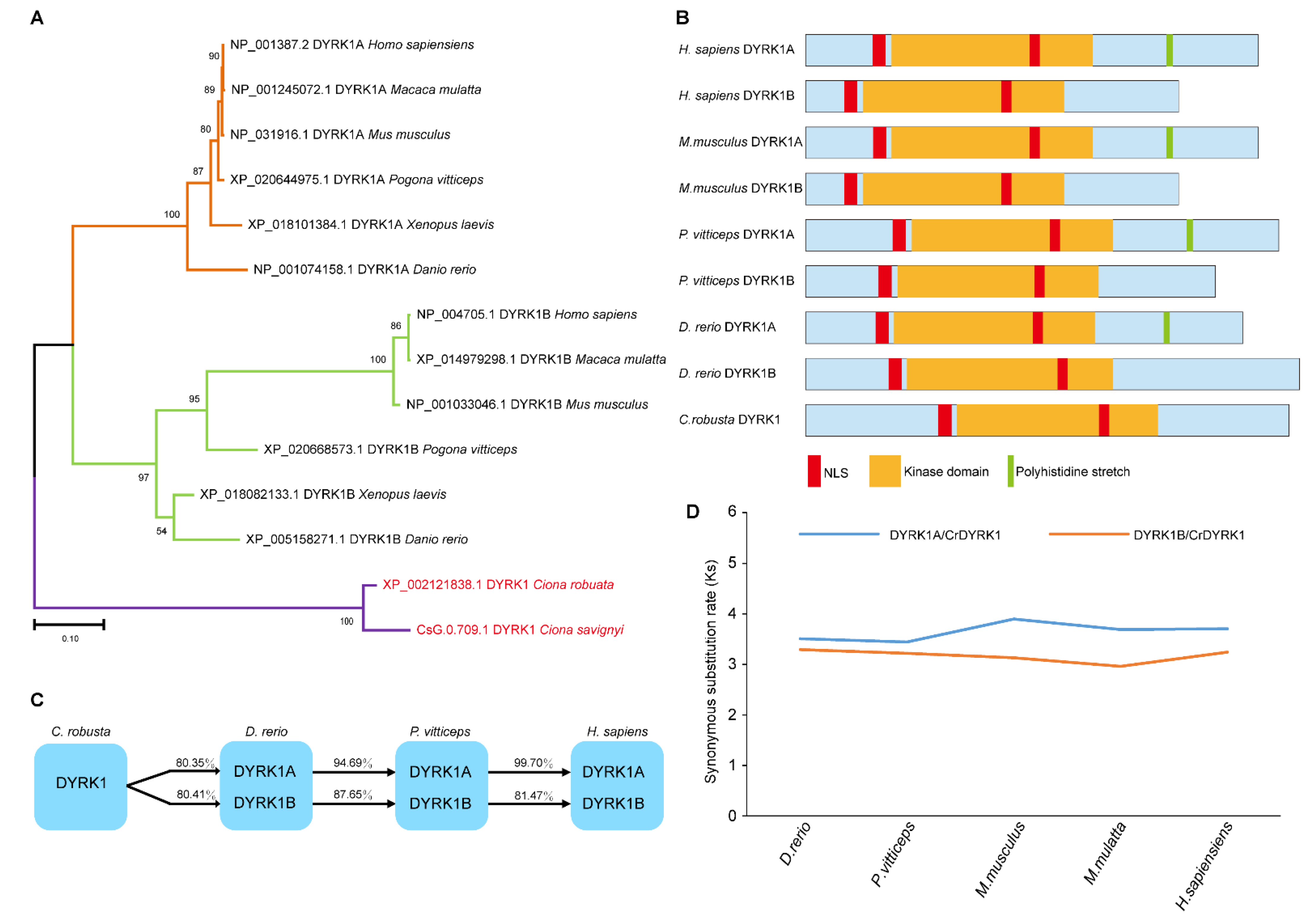 Biomolecules 13 00283 g001 Biomolecules 13 00283 g001