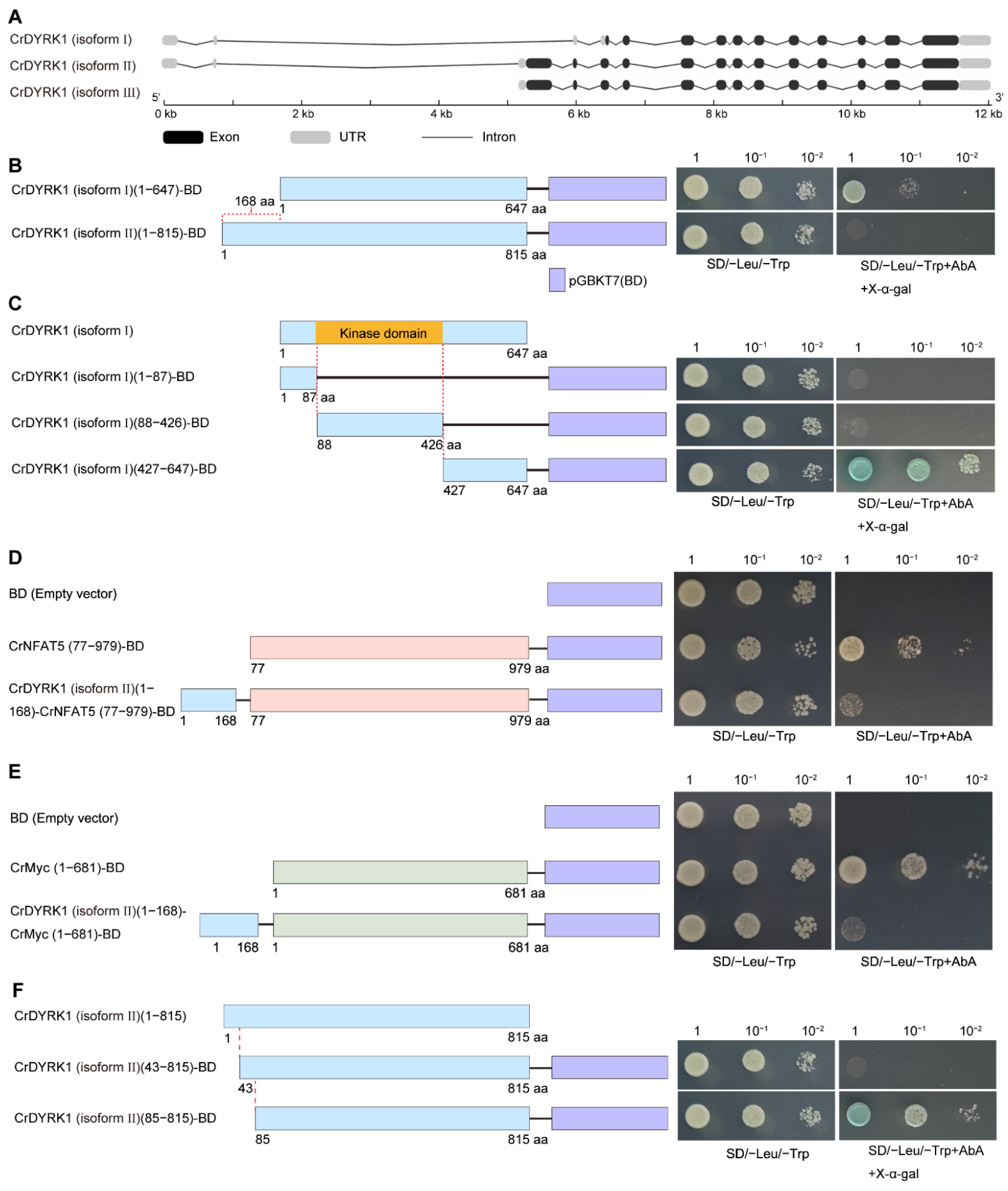 Biomolecules 13 00283 g002 Biomolecules 13 00283 g002