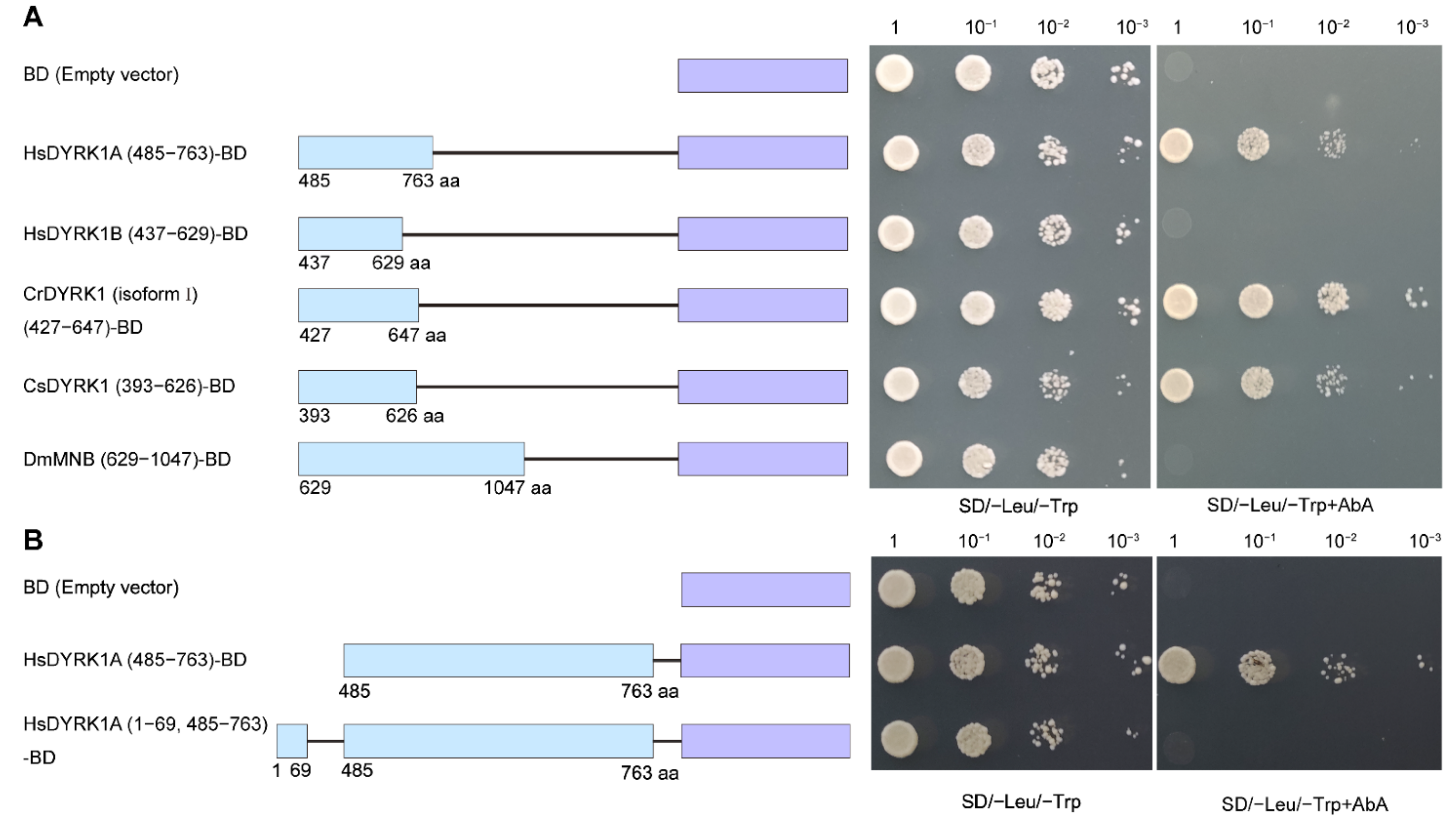 Biomolecules 13 00283 g003 Biomolecules 13 00283 g003