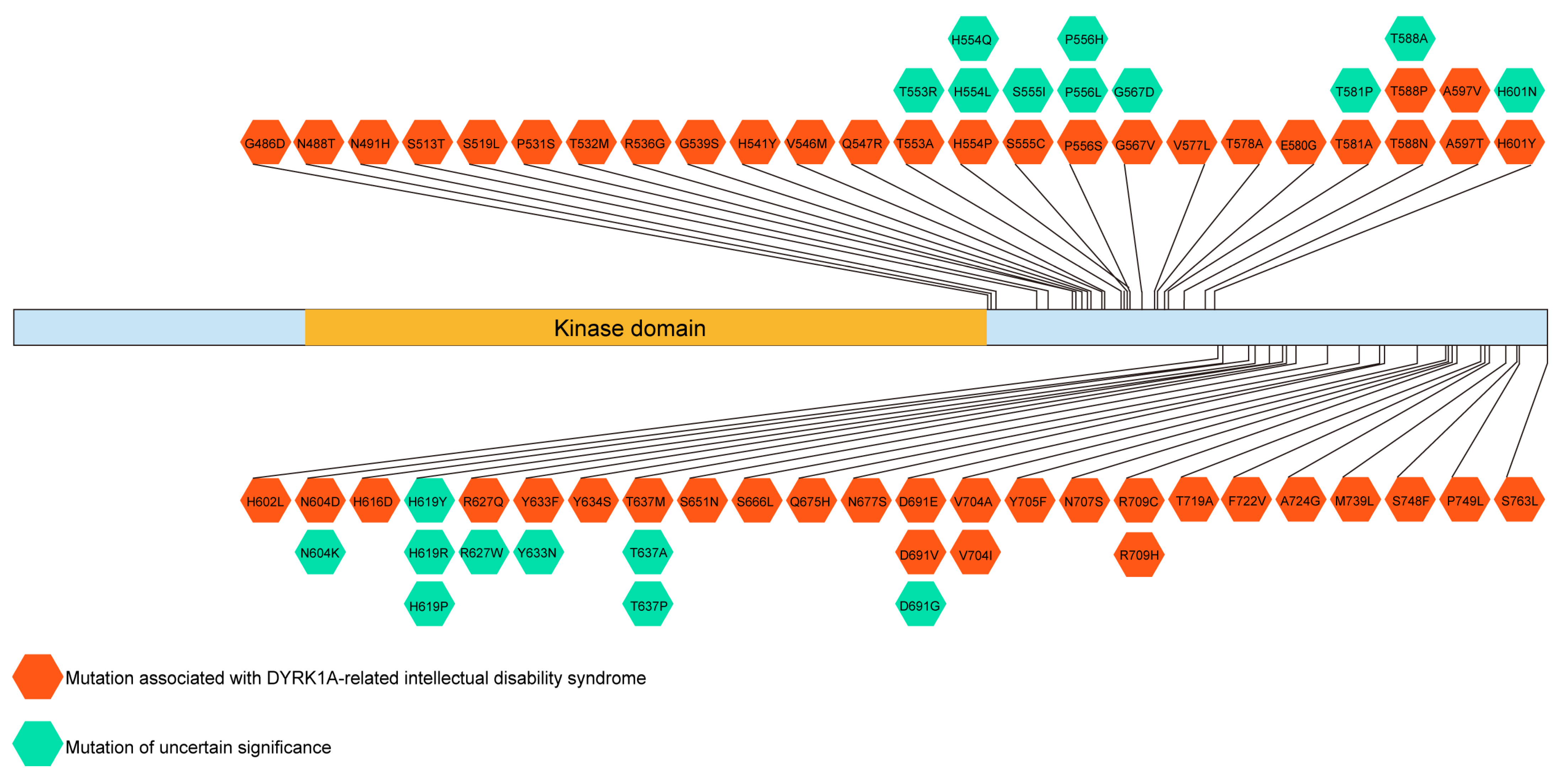 Biomolecules 13 00283 g005 Biomolecules 13 00283 g005