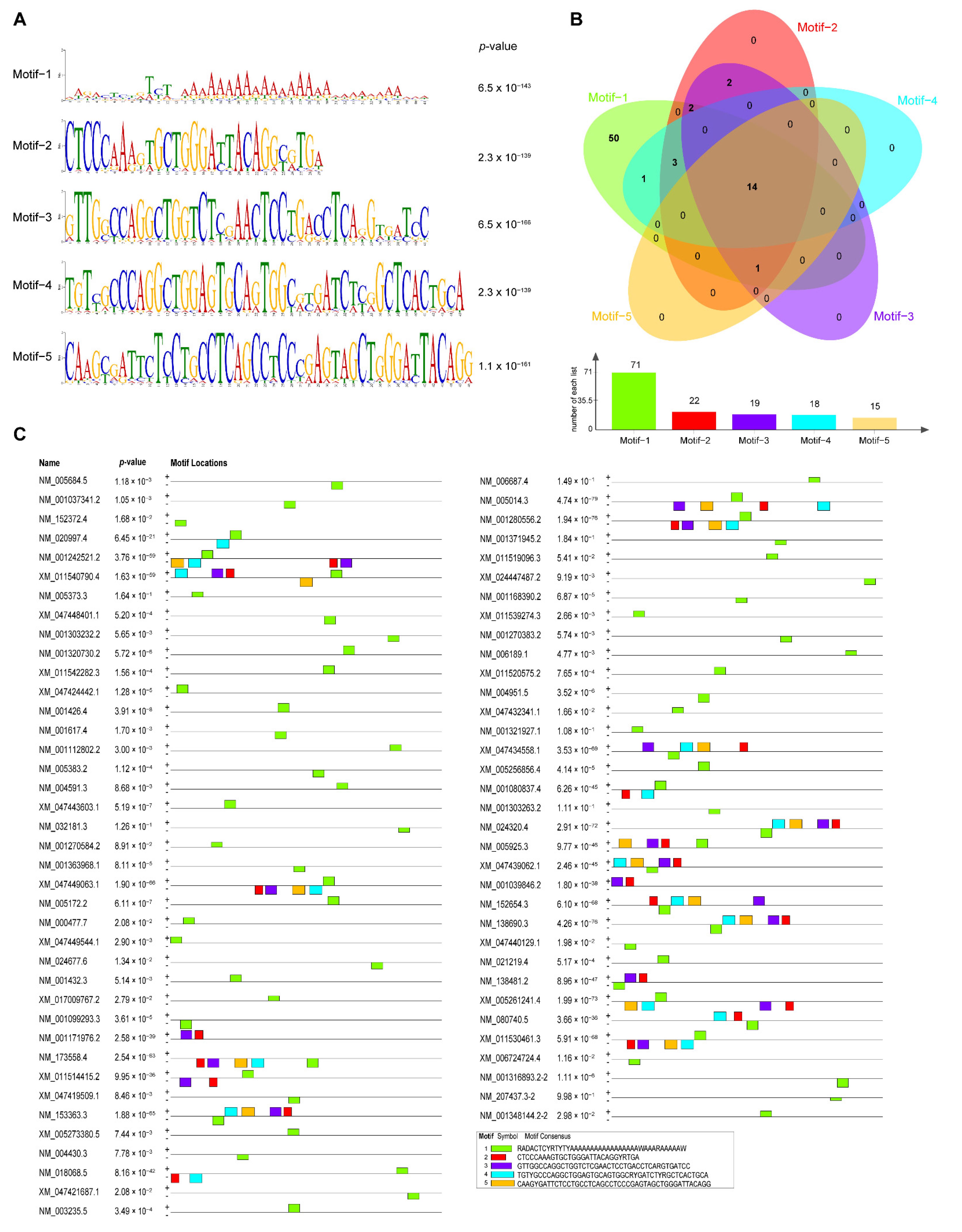 Biomolecules 13 00283 g006 Biomolecules 13 00283 g006