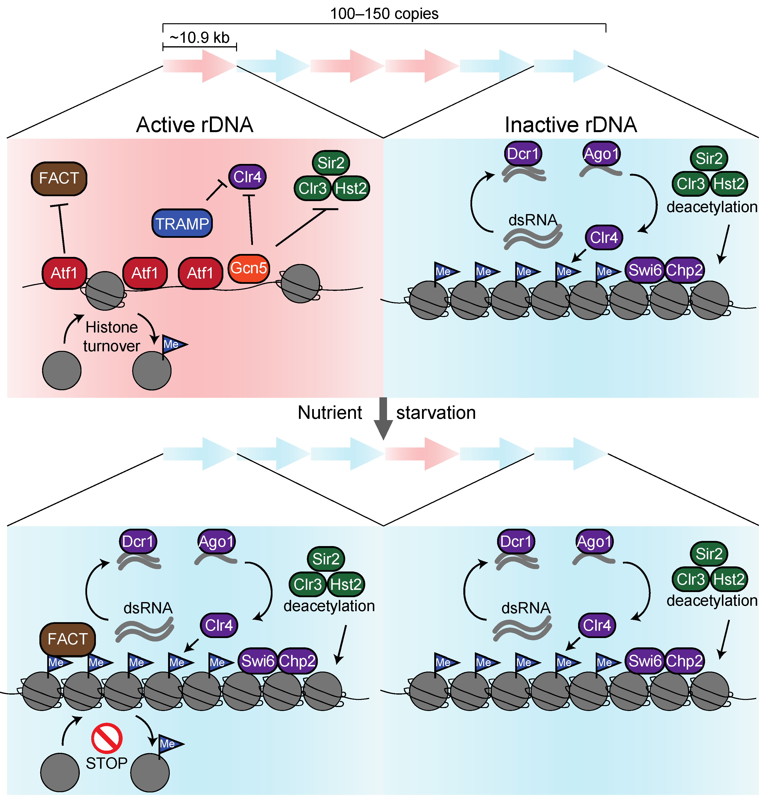 Biomolecules 13 00288 g006