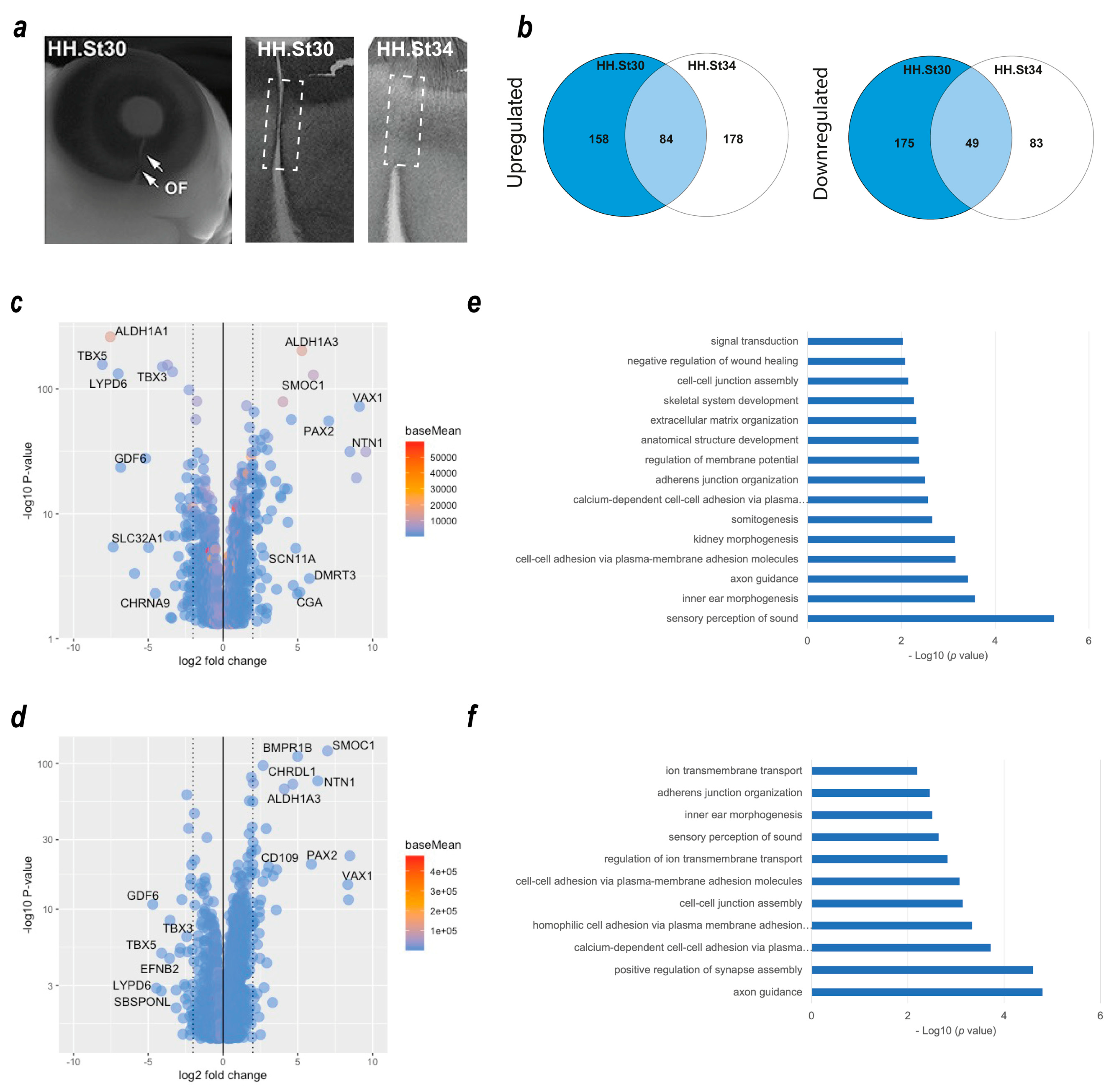 Biomolecules 13 00293 g001 Biomolecules 13 00293 g001