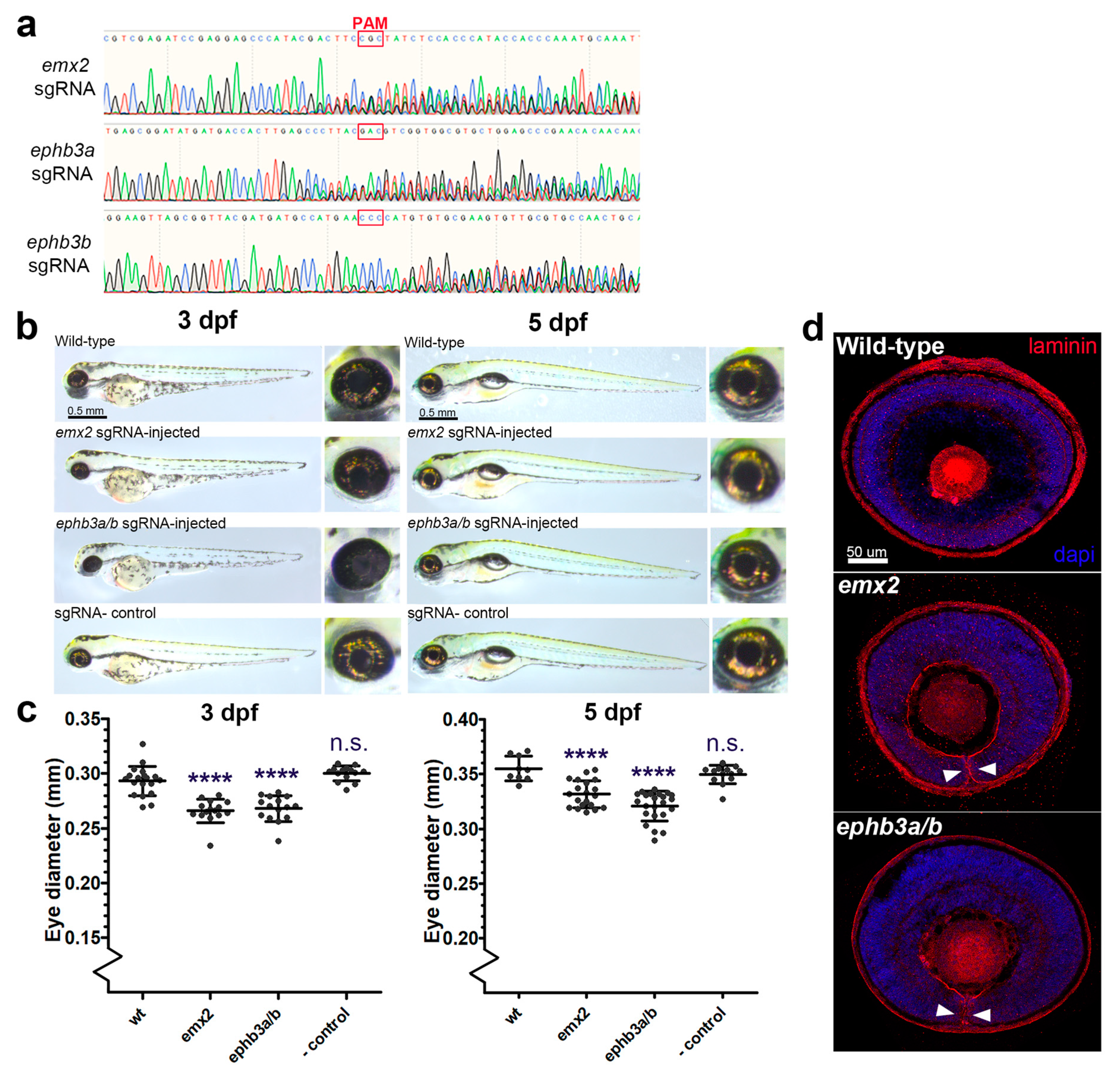 Biomolecules 13 00293 g004 Biomolecules 13 00293 g004