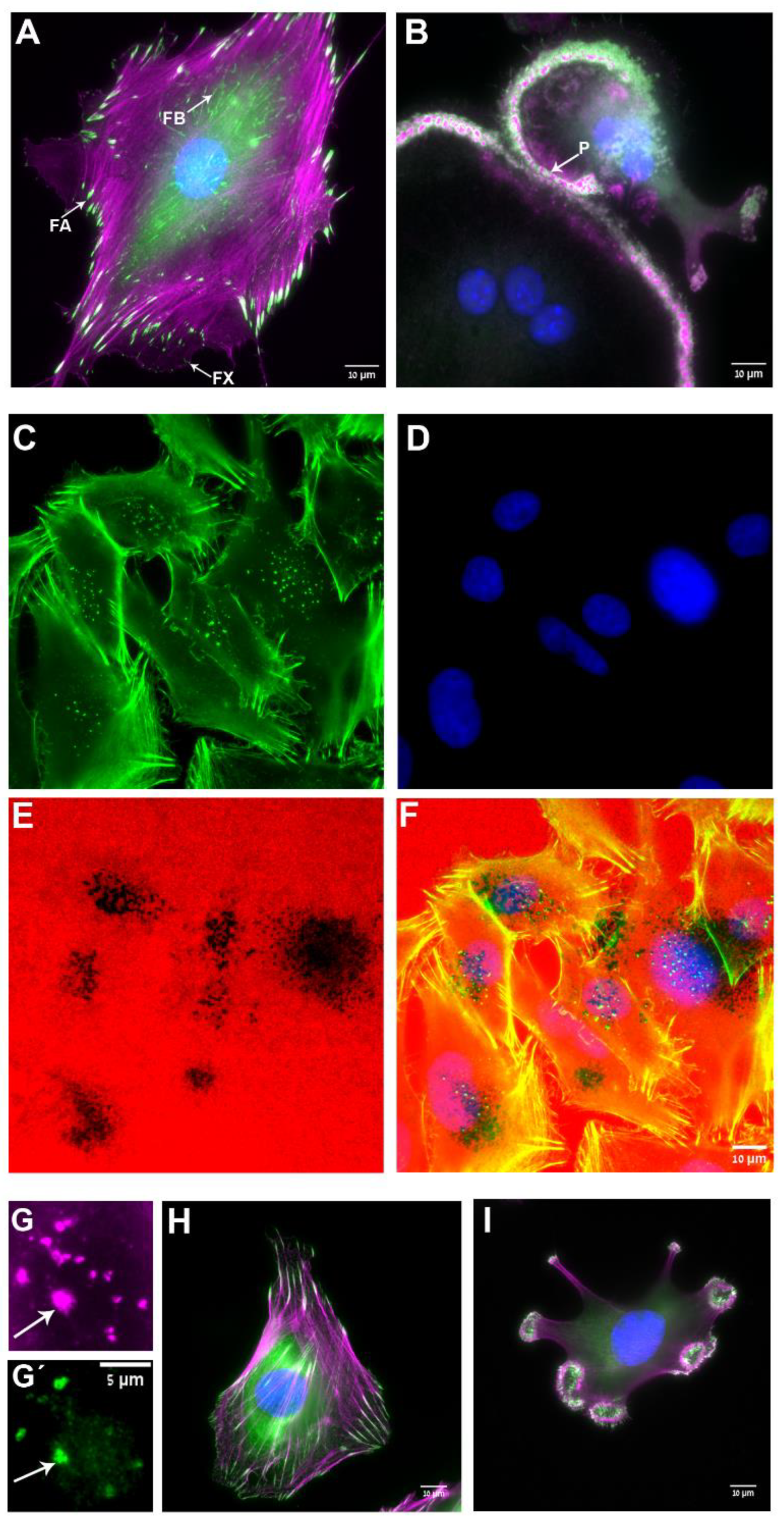 Biomolecules 13 00294 g001 Biomolecules 13 00294 g001