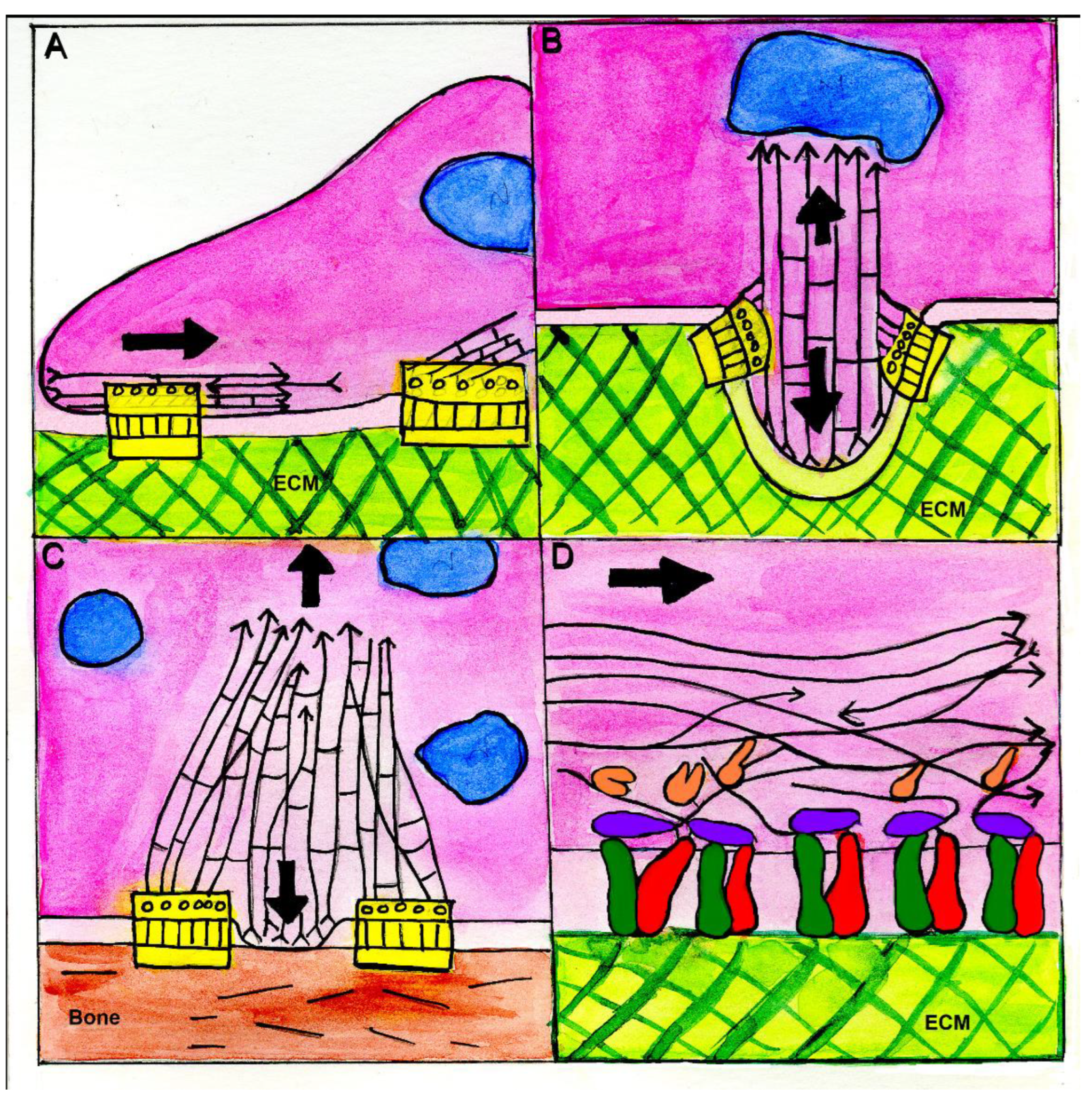 Biomolecules 13 00294 g004 Biomolecules 13 00294 g004