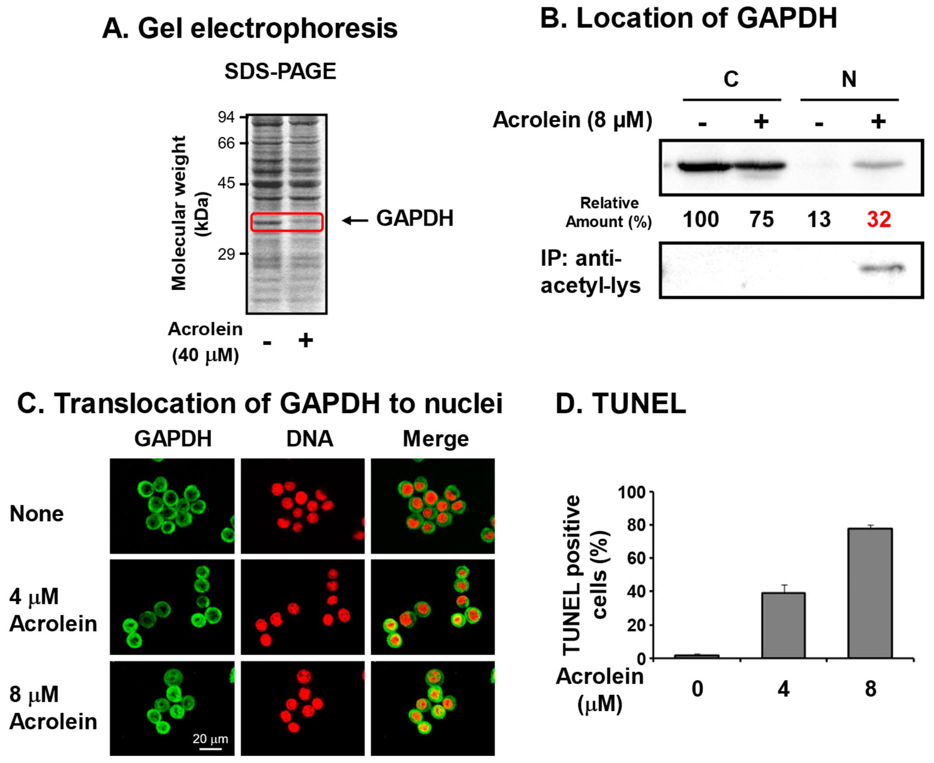 Biomolecules 13 00298 g002 Biomolecules 13 00298 g002