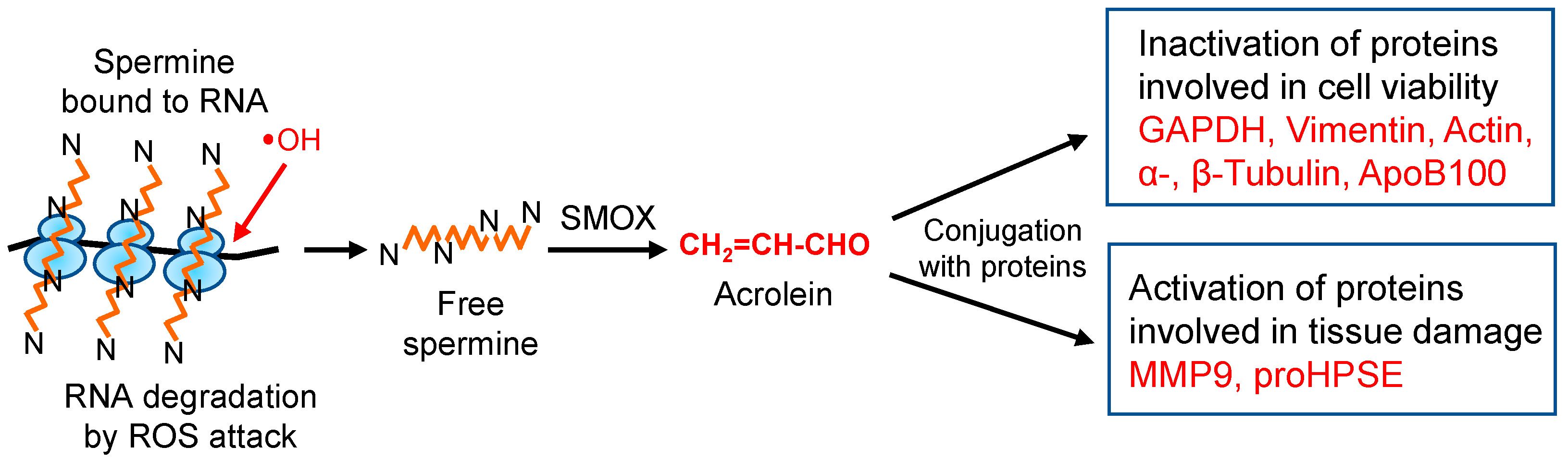 Biomolecules 13 00298 g008 Biomolecules 13 00298 g008