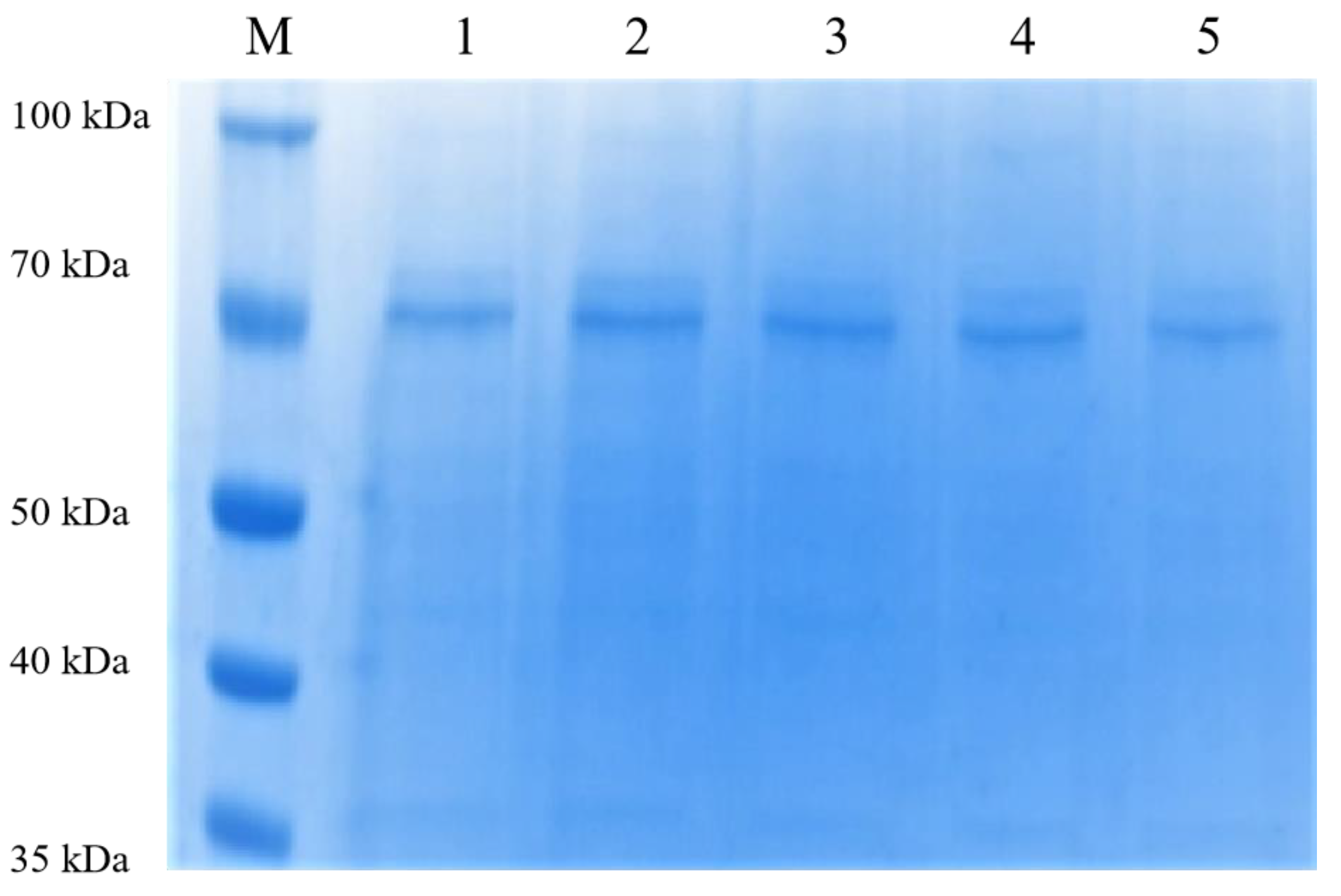 Biomolecules 13 00300 g002