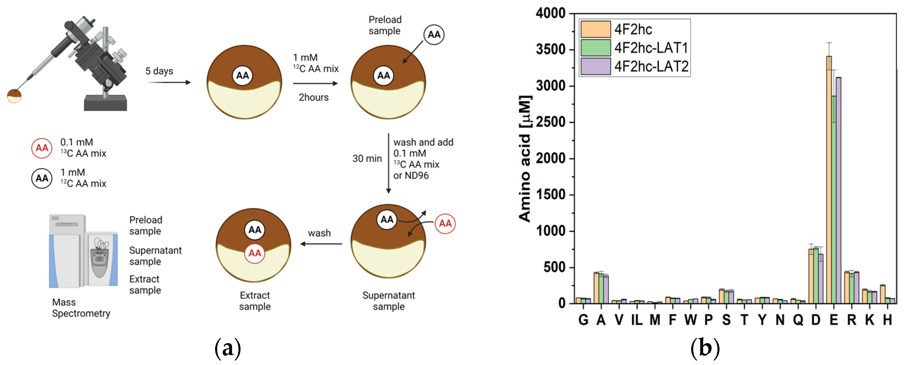 Biomolecules 13 00301 g002 550