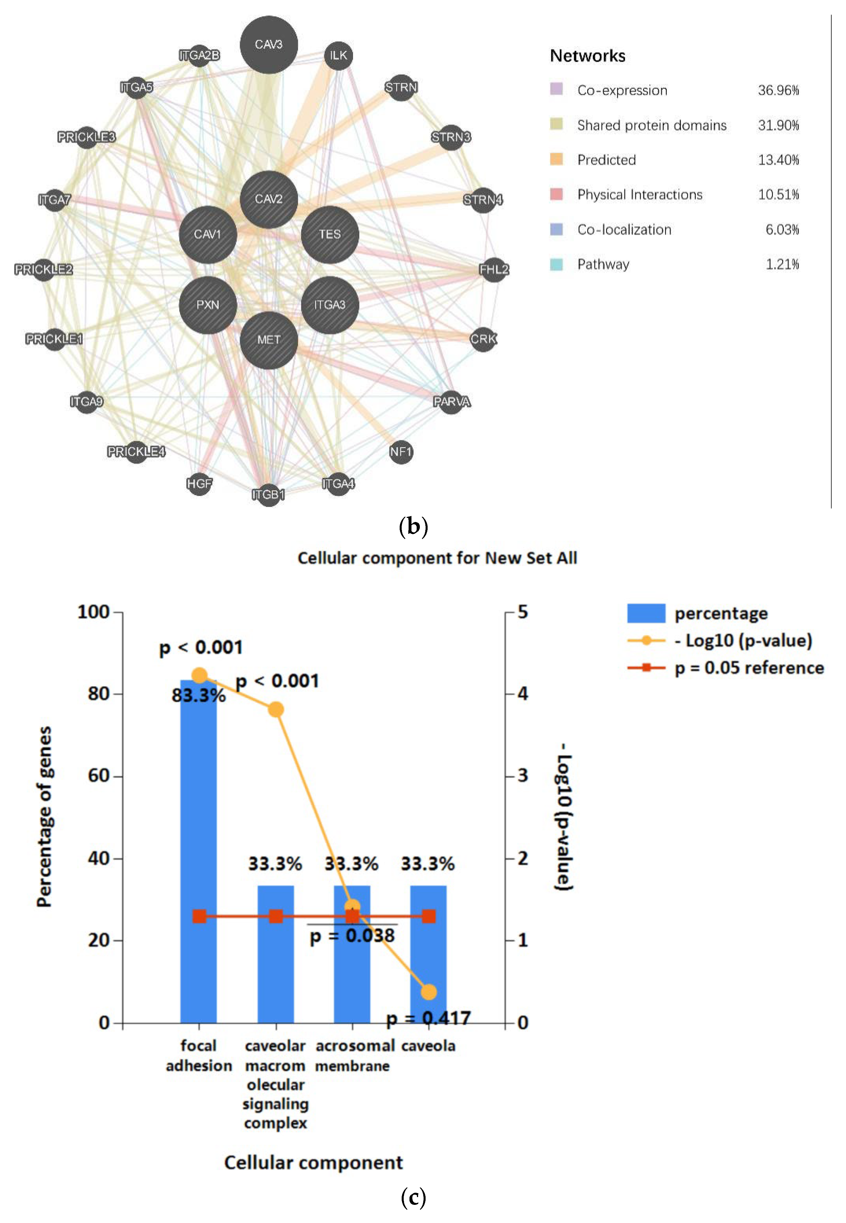 Biomolecules 13 00303 g007b Biomolecules 13 00303 g007b