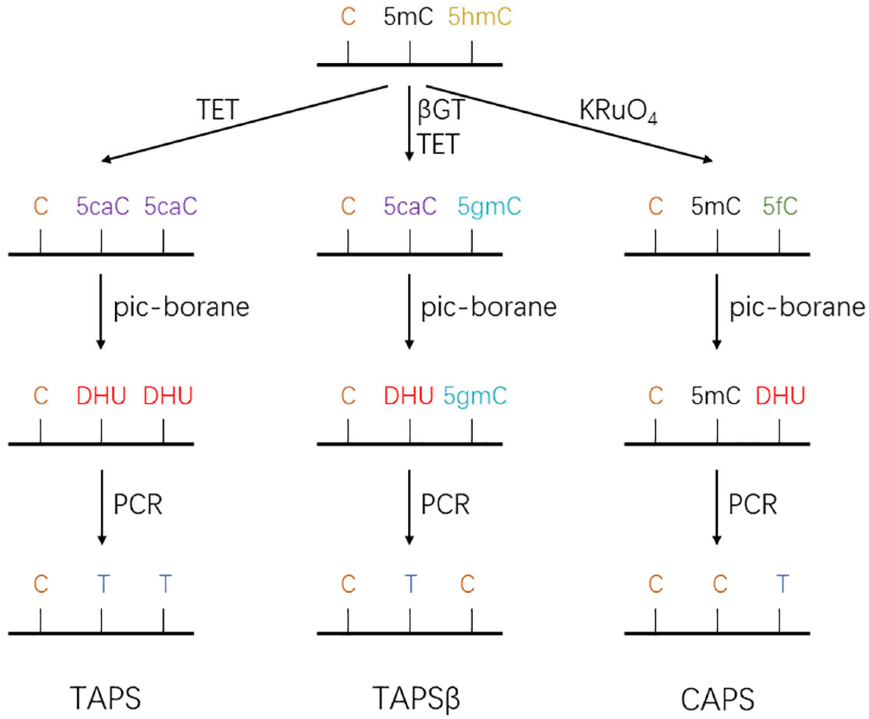 Biomolecules 13 00304 g005