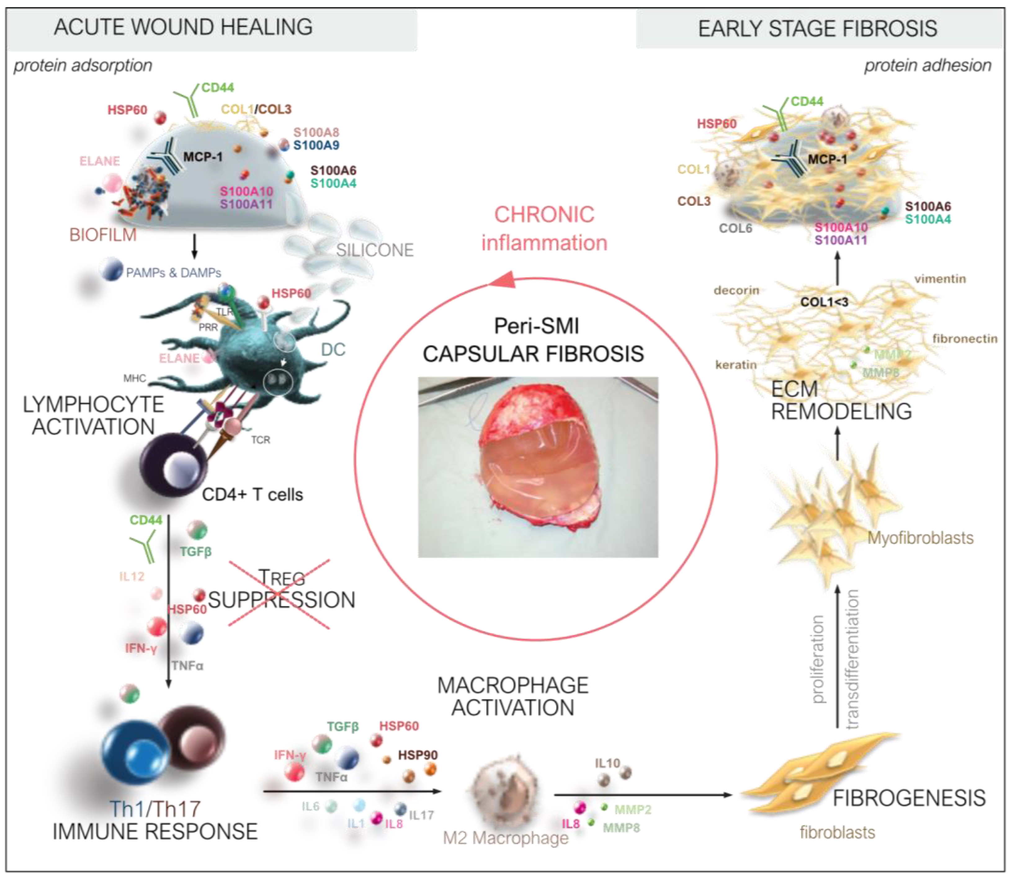 Biomolecules 13 00305 g008 Biomolecules 13 00305 g008