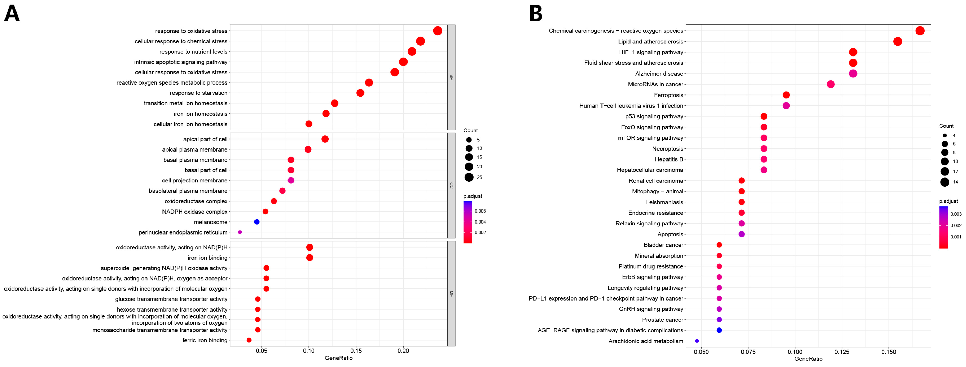 Biomolecules 13 00306 g002 Biomolecules 13 00306 g002