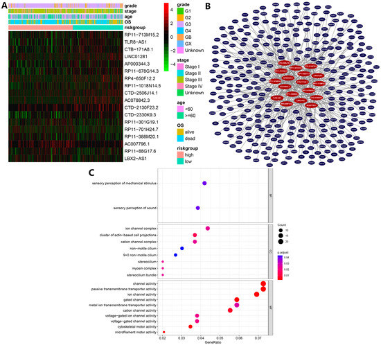 Construction of Ovarian Cancer Prognostic Model Based on the