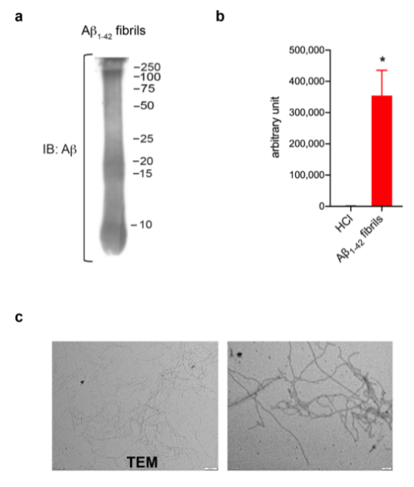 Biomolecules 13 00307 g001