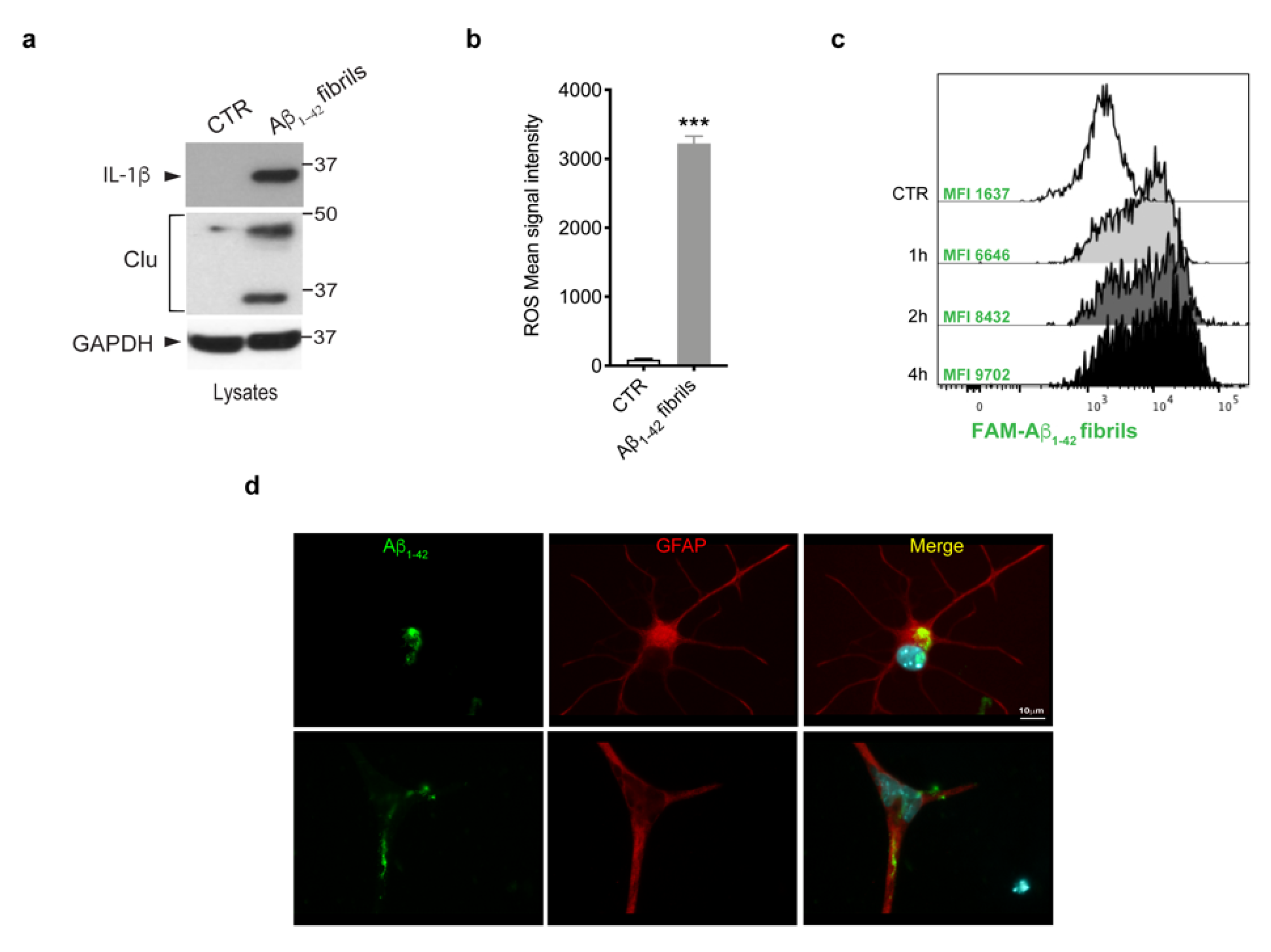 Biomolecules 13 00307 g002