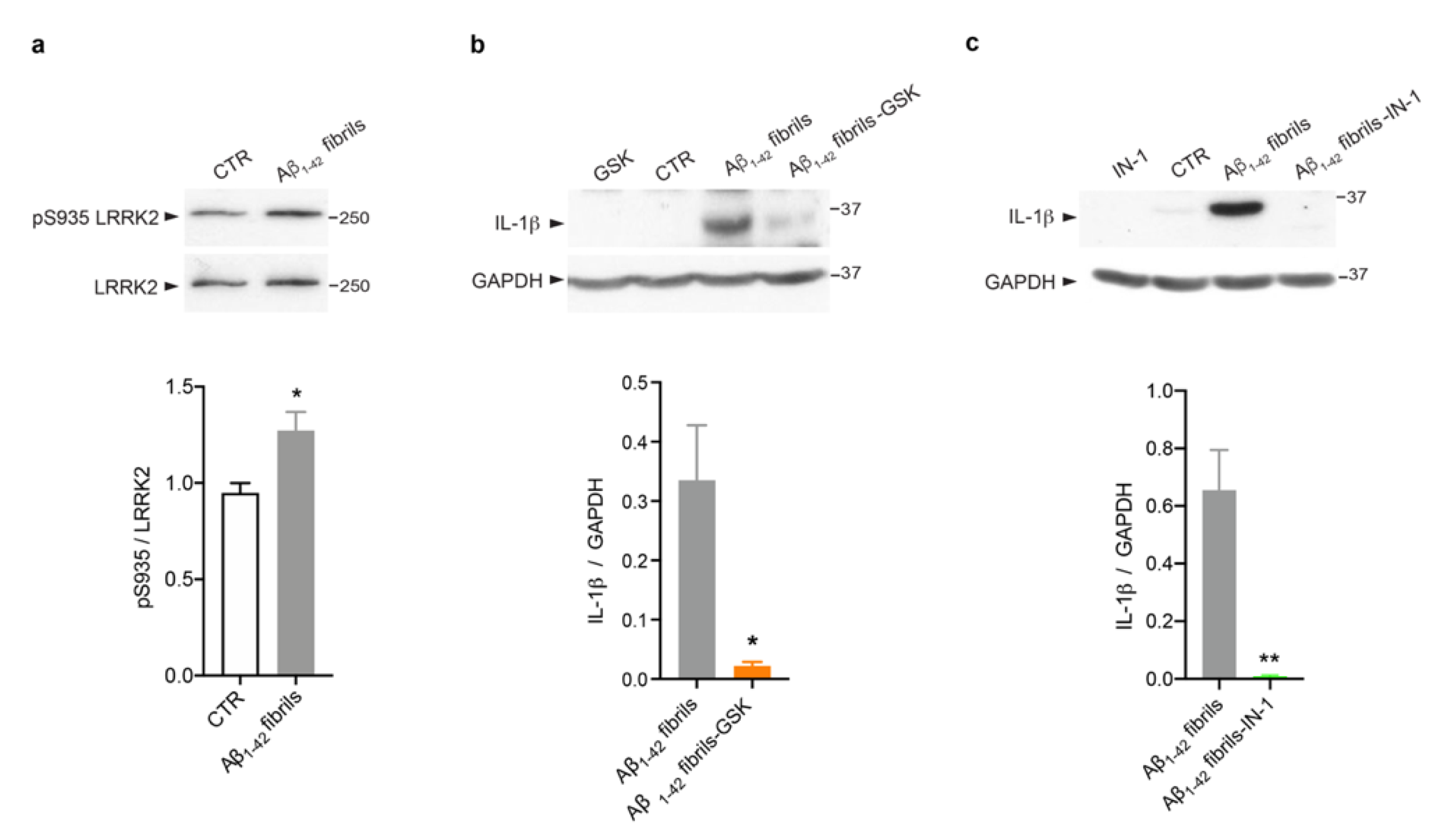 Biomolecules 13 00307 g003
