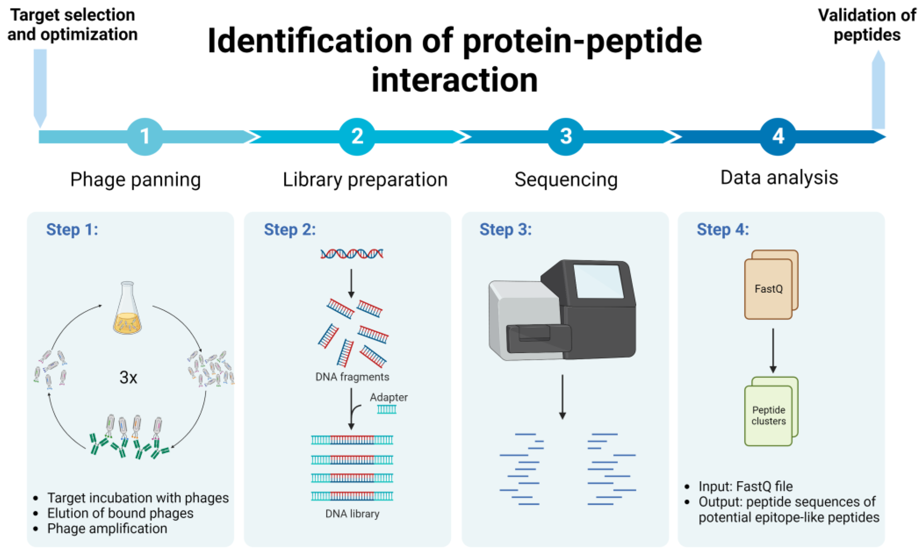 Biomolecules 13 00310 g001