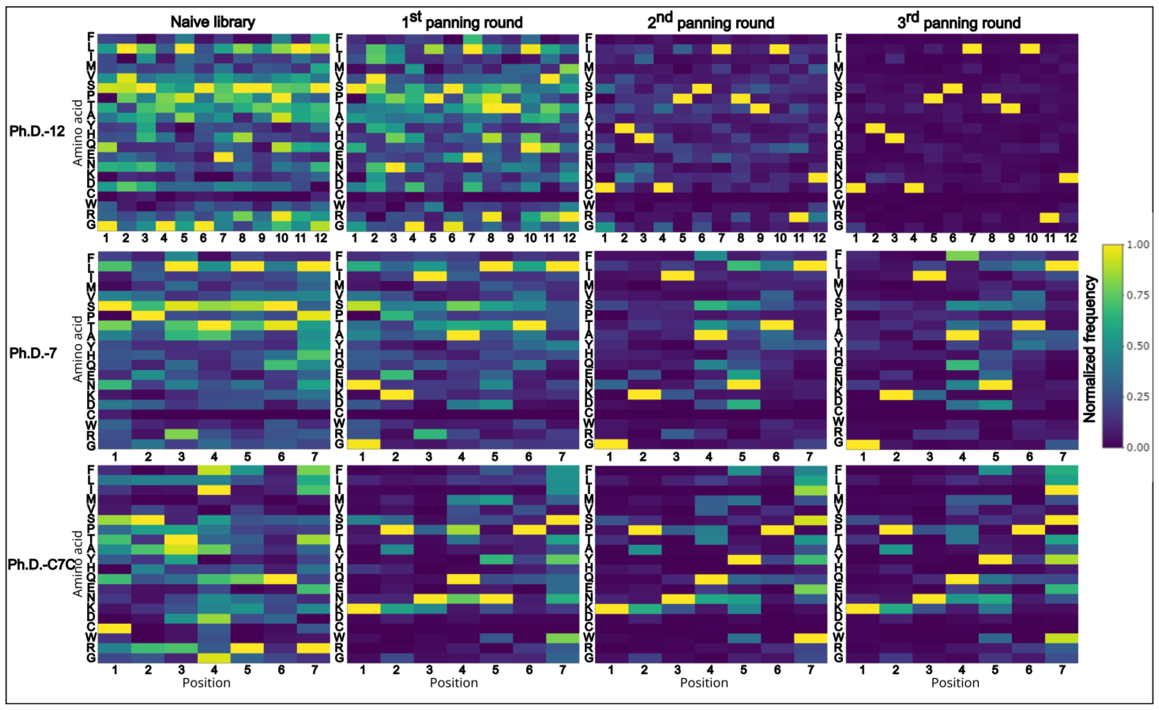 Biomolecules 13 00310 g003
