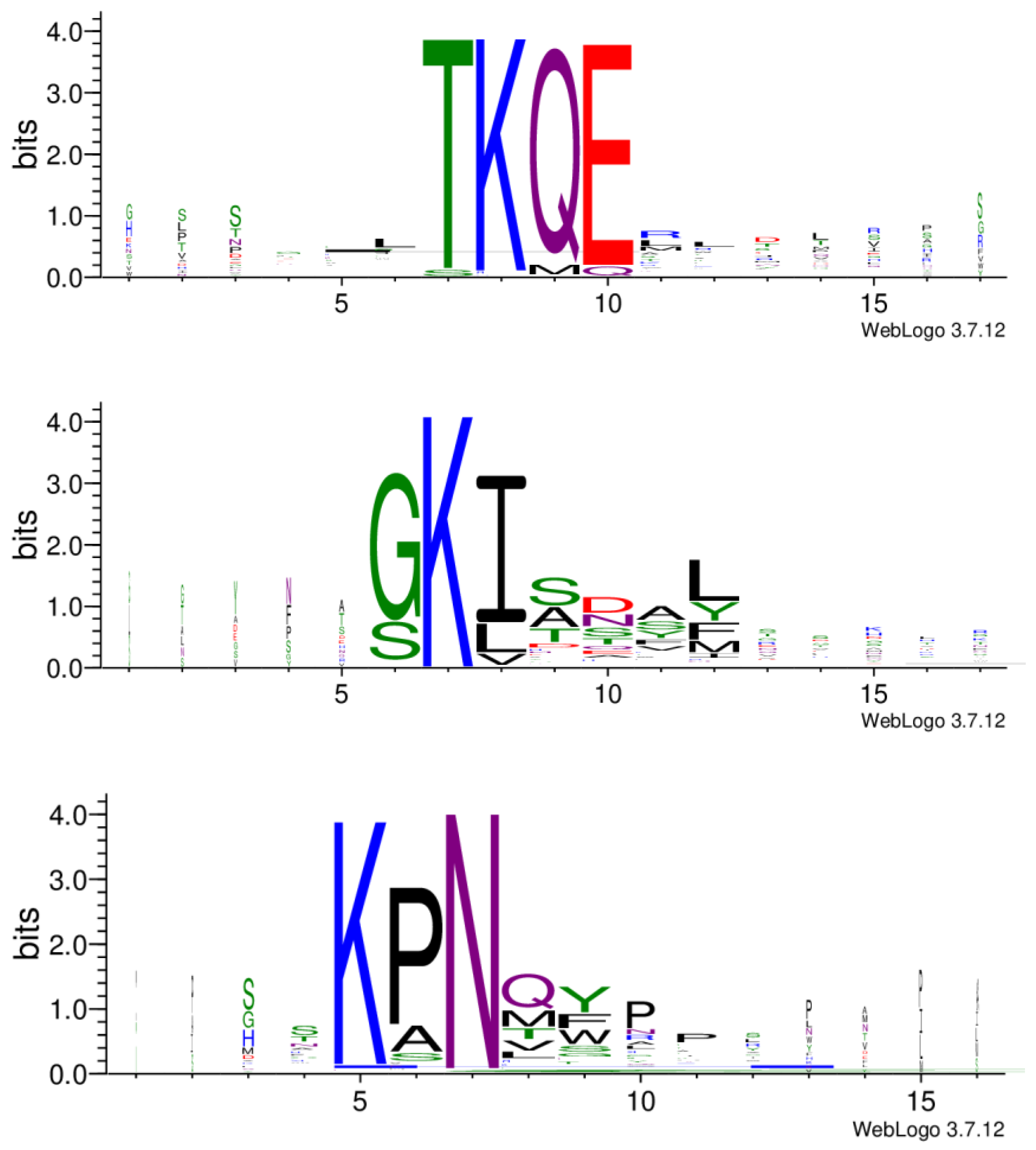 Biomolecules 13 00310 g006