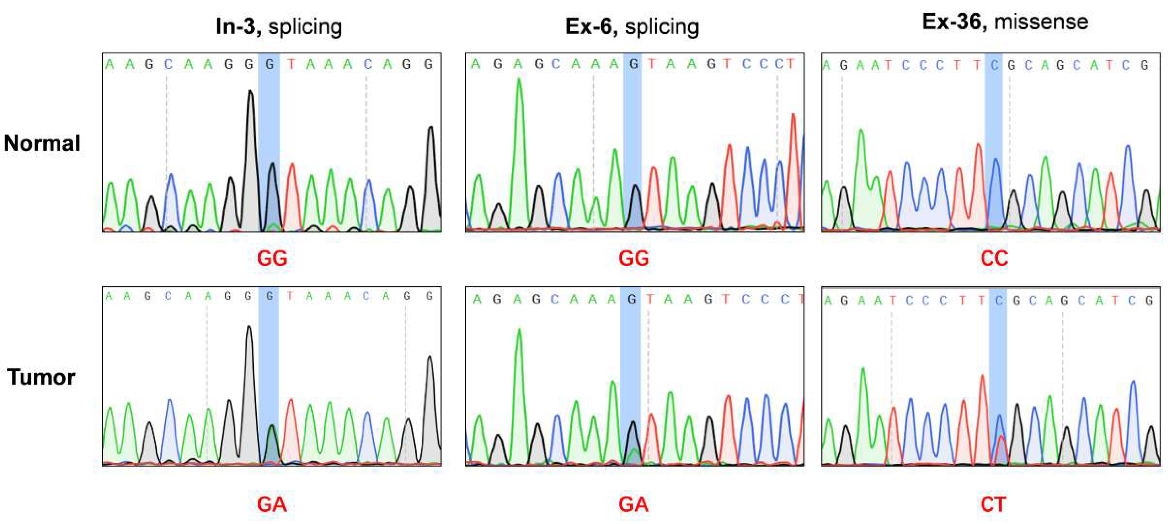 Biomolecules 13 00312 g001 Biomolecules 13 00312 g001