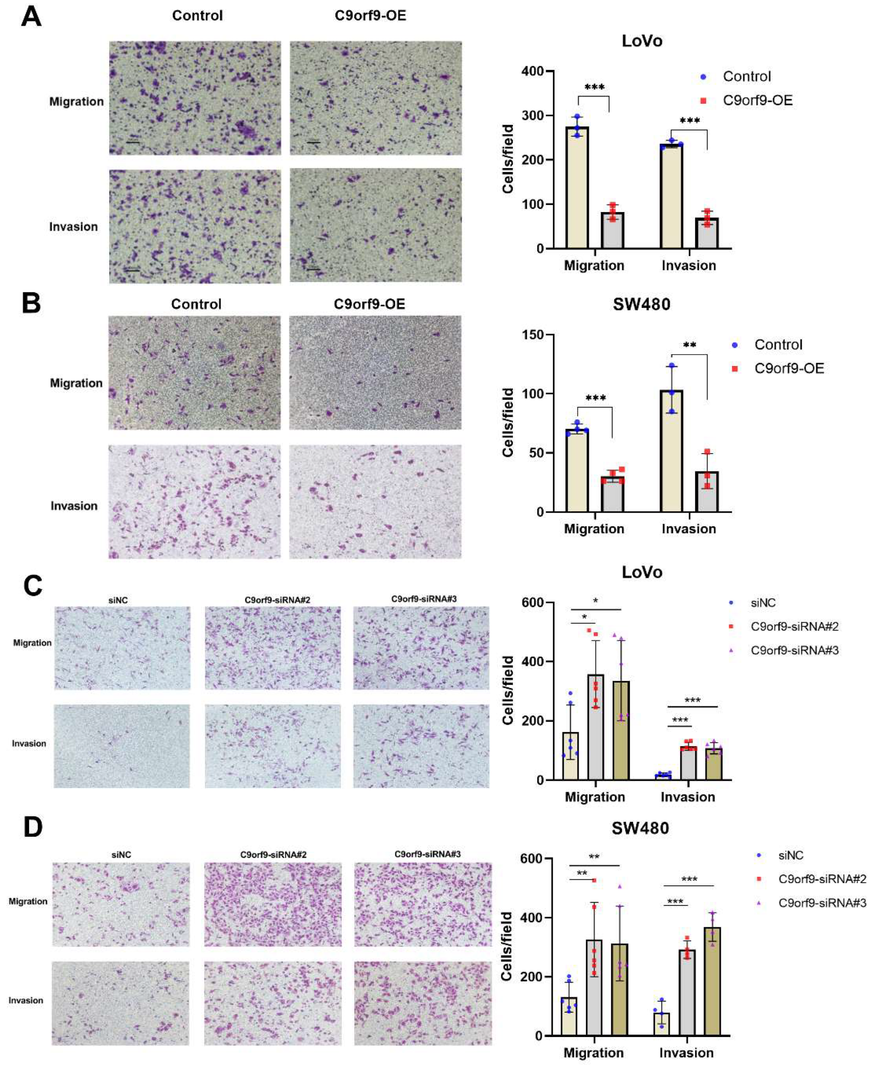 Biomolecules 13 00312 g004 Biomolecules 13 00312 g004