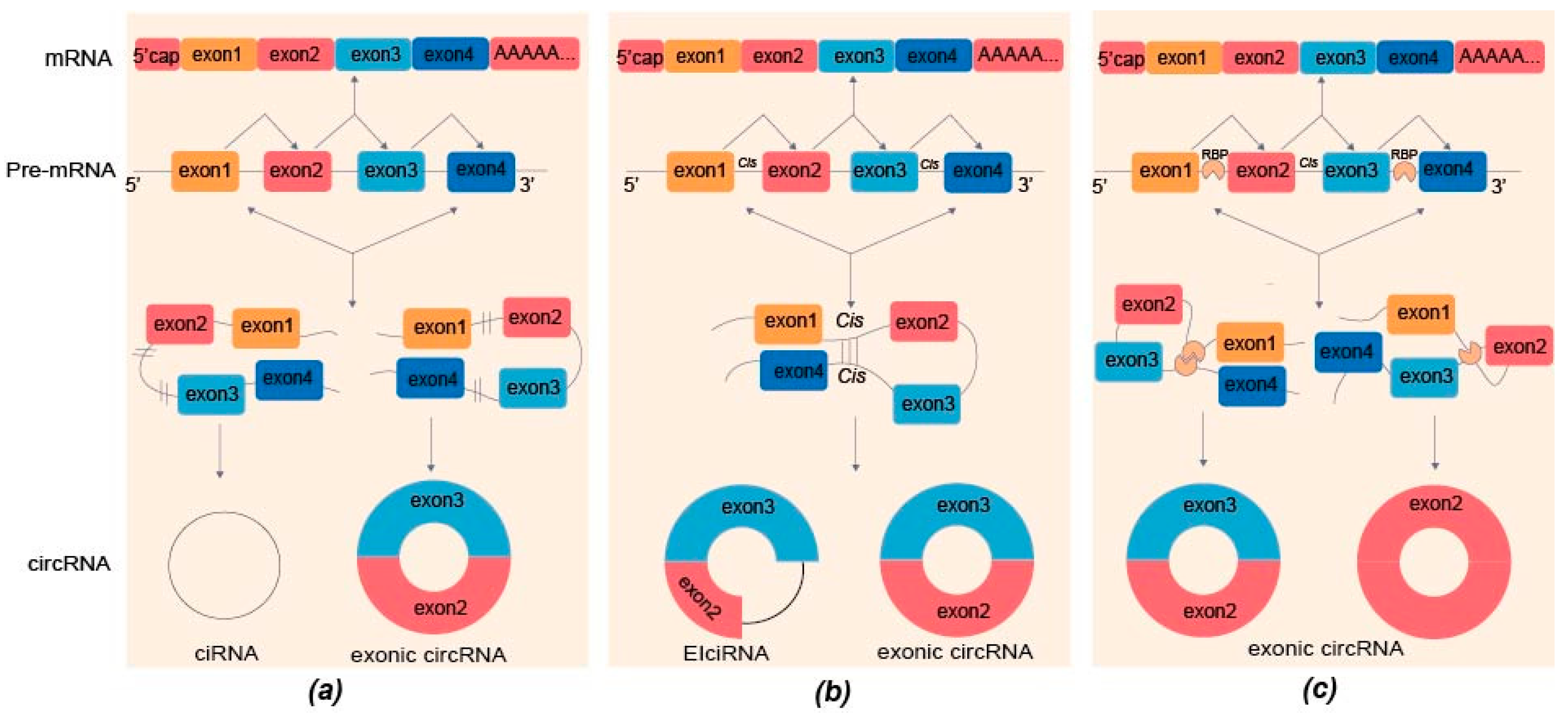 Biomolecules 13 00314 g001 Biomolecules 13 00314 g001