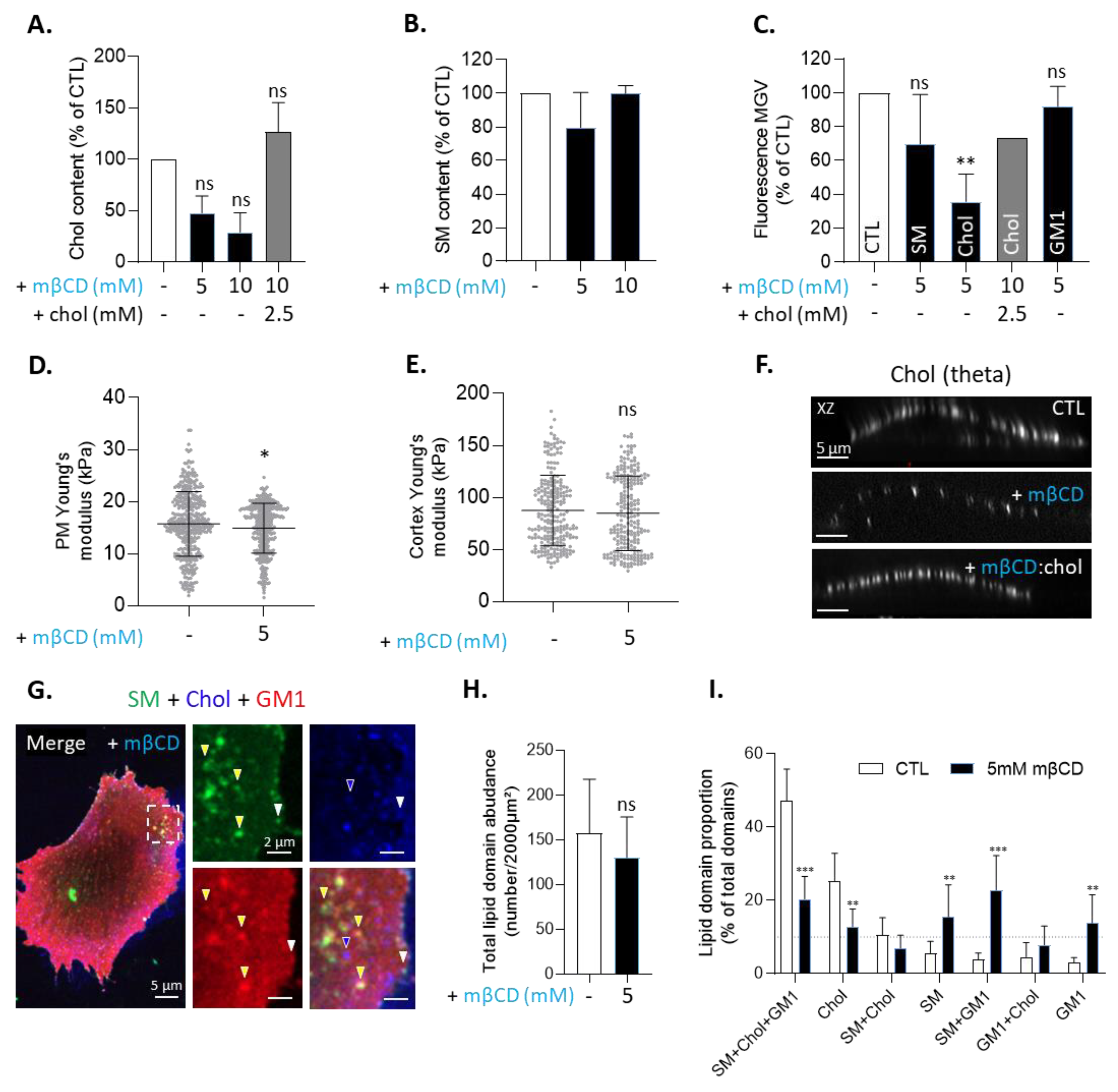 Biomolecules 13 00319 g003 Biomolecules 13 00319 g003