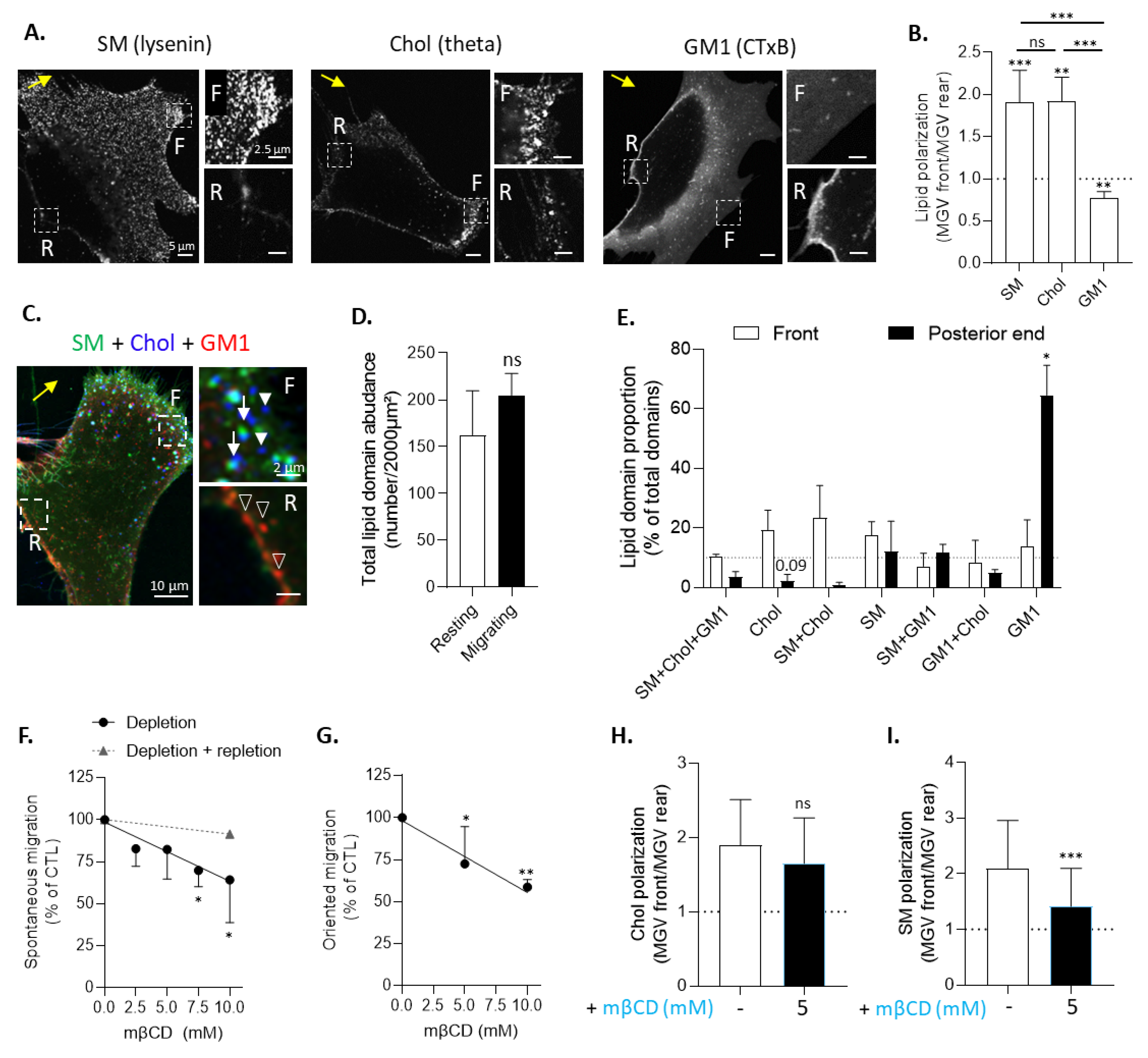 Biomolecules 13 00319 g004 Biomolecules 13 00319 g004