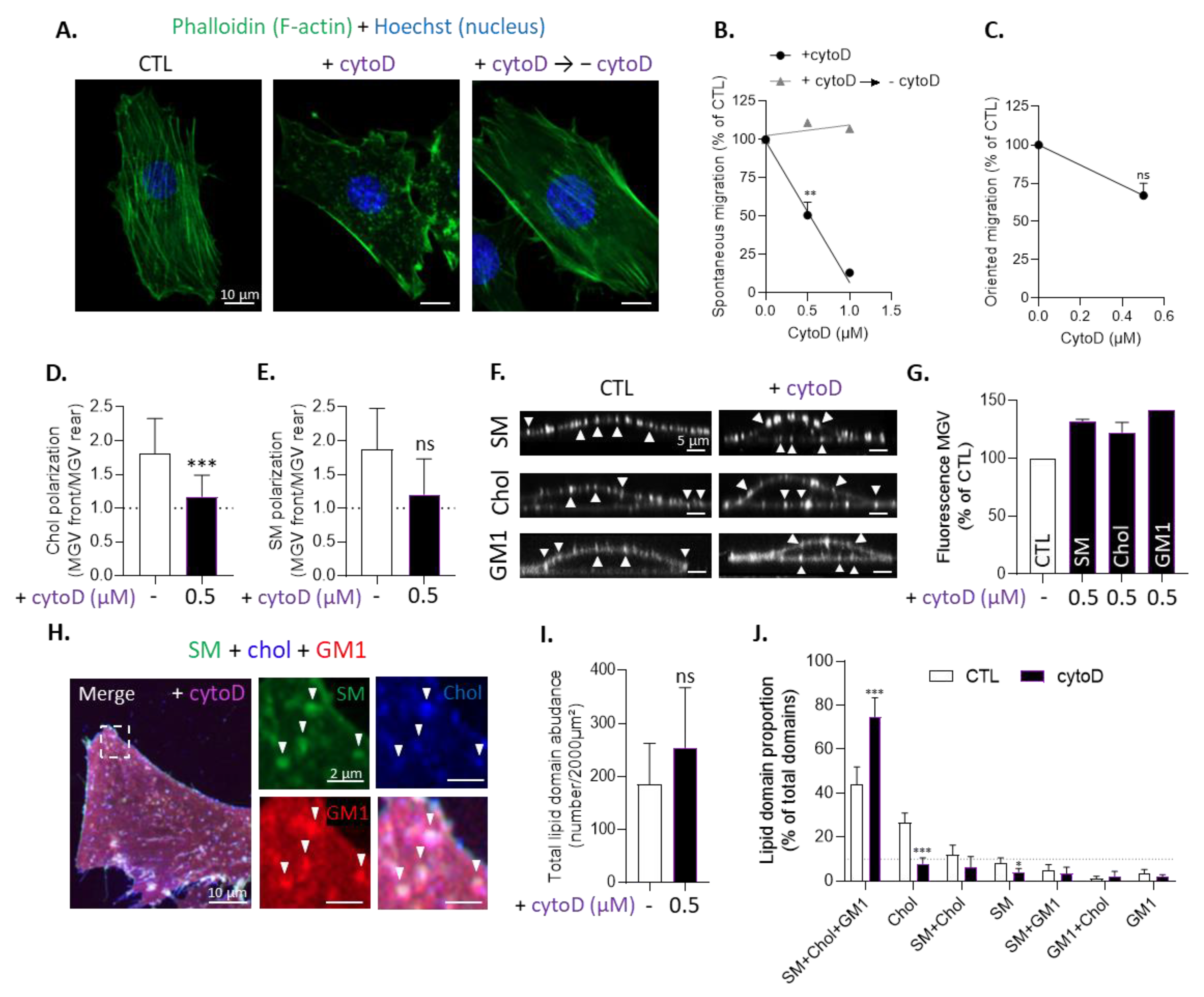 Biomolecules 13 00319 g006 Biomolecules 13 00319 g006