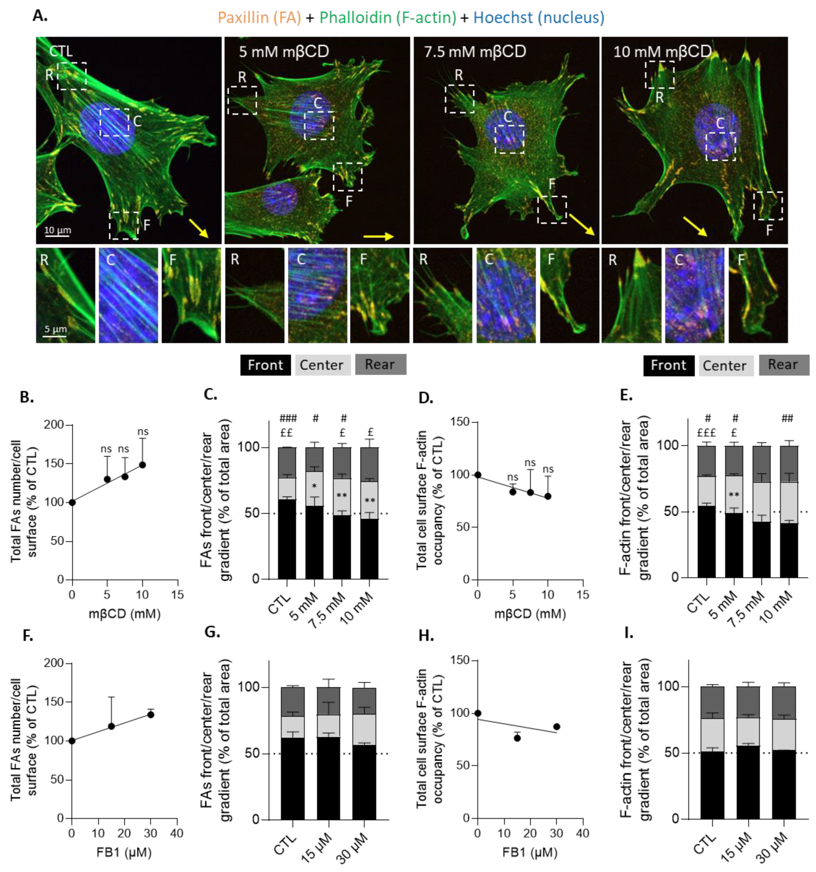 Biomolecules 13 00319 g009 Biomolecules 13 00319 g009
