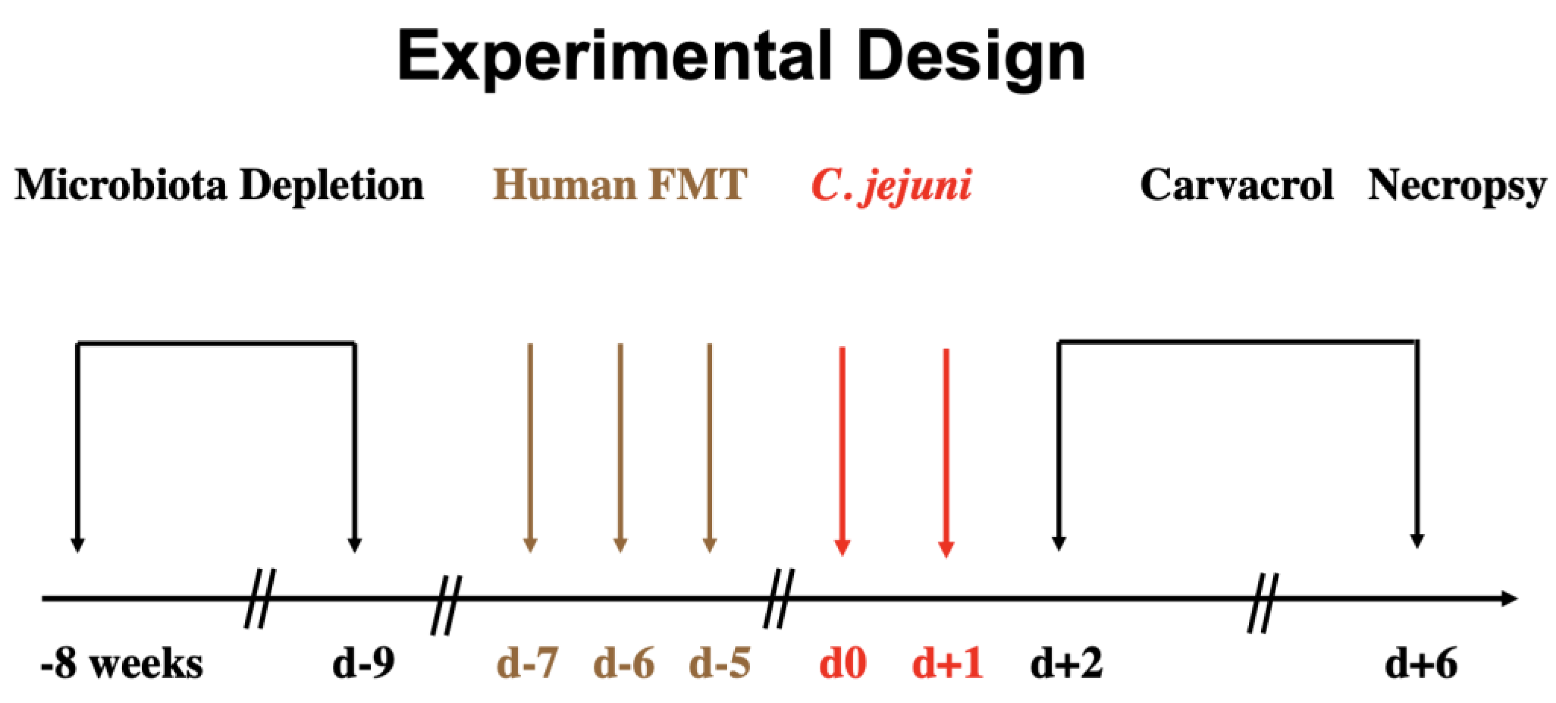 Biomolecules 13 00320 g001 Biomolecules 13 00320 g001
