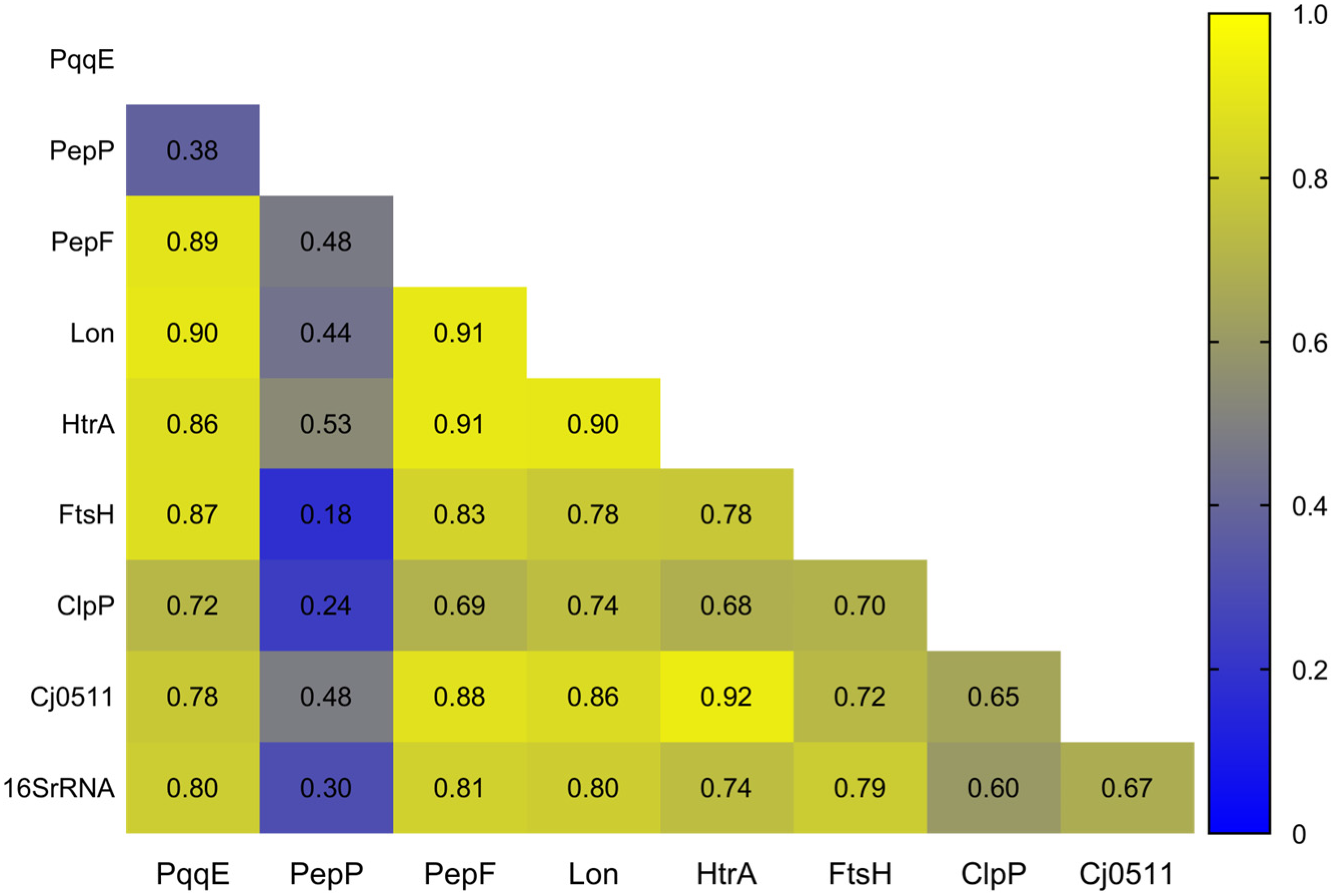 Biomolecules 13 00323 g002