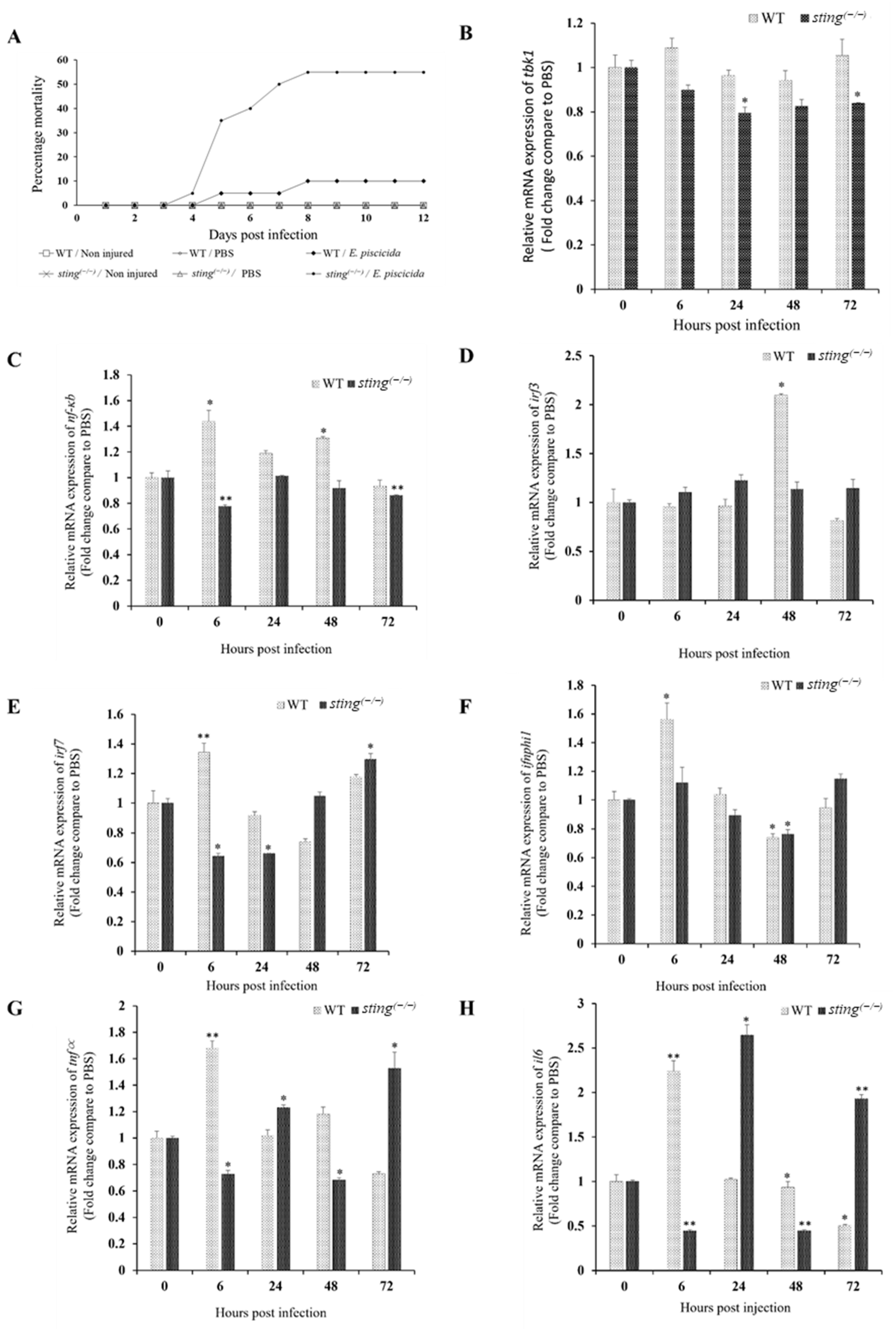 Biomolecules 13 00324 g004 Biomolecules 13 00324 g004