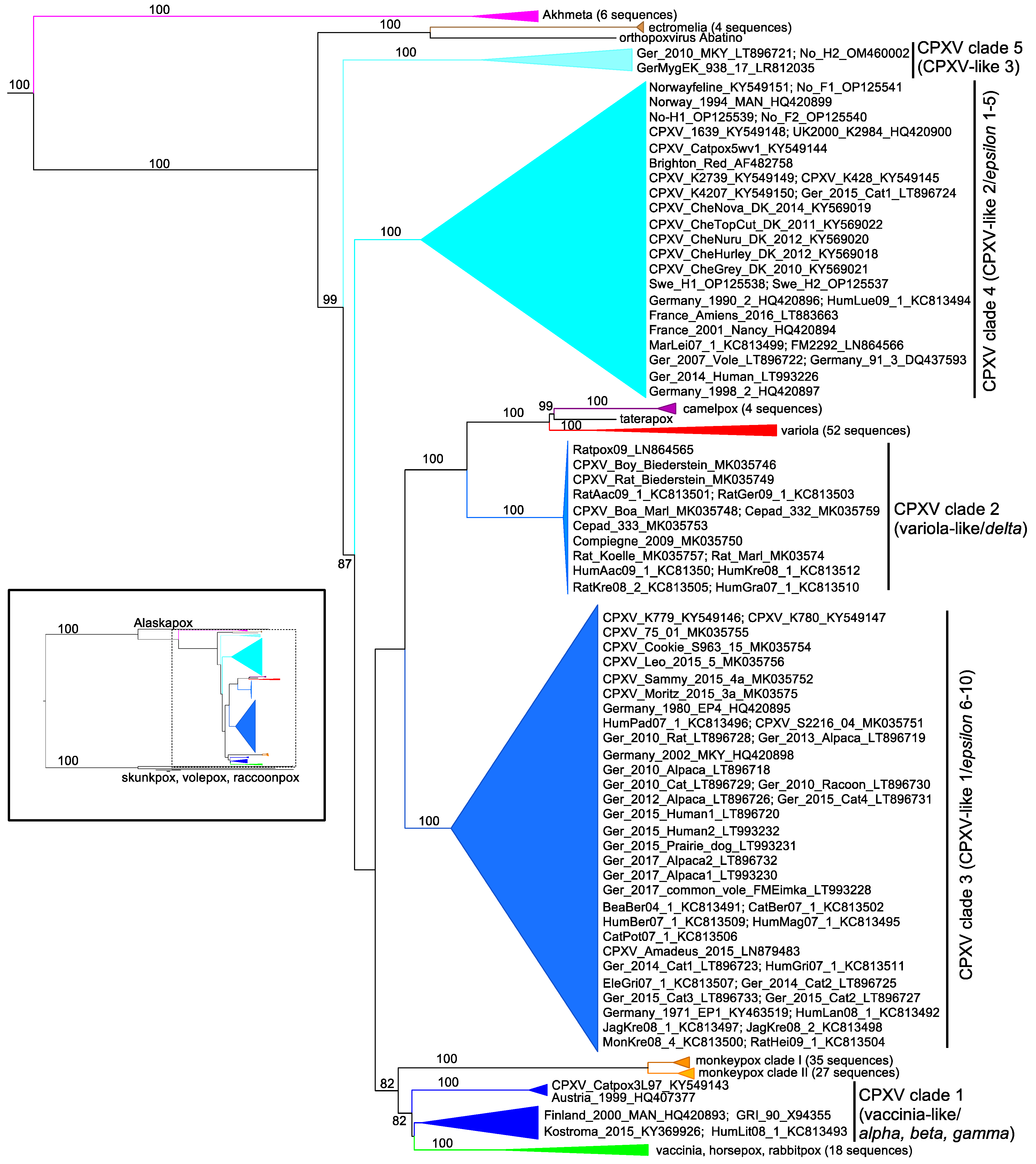 Biomolecules 13 00325 g002 Biomolecules 13 00325 g002
