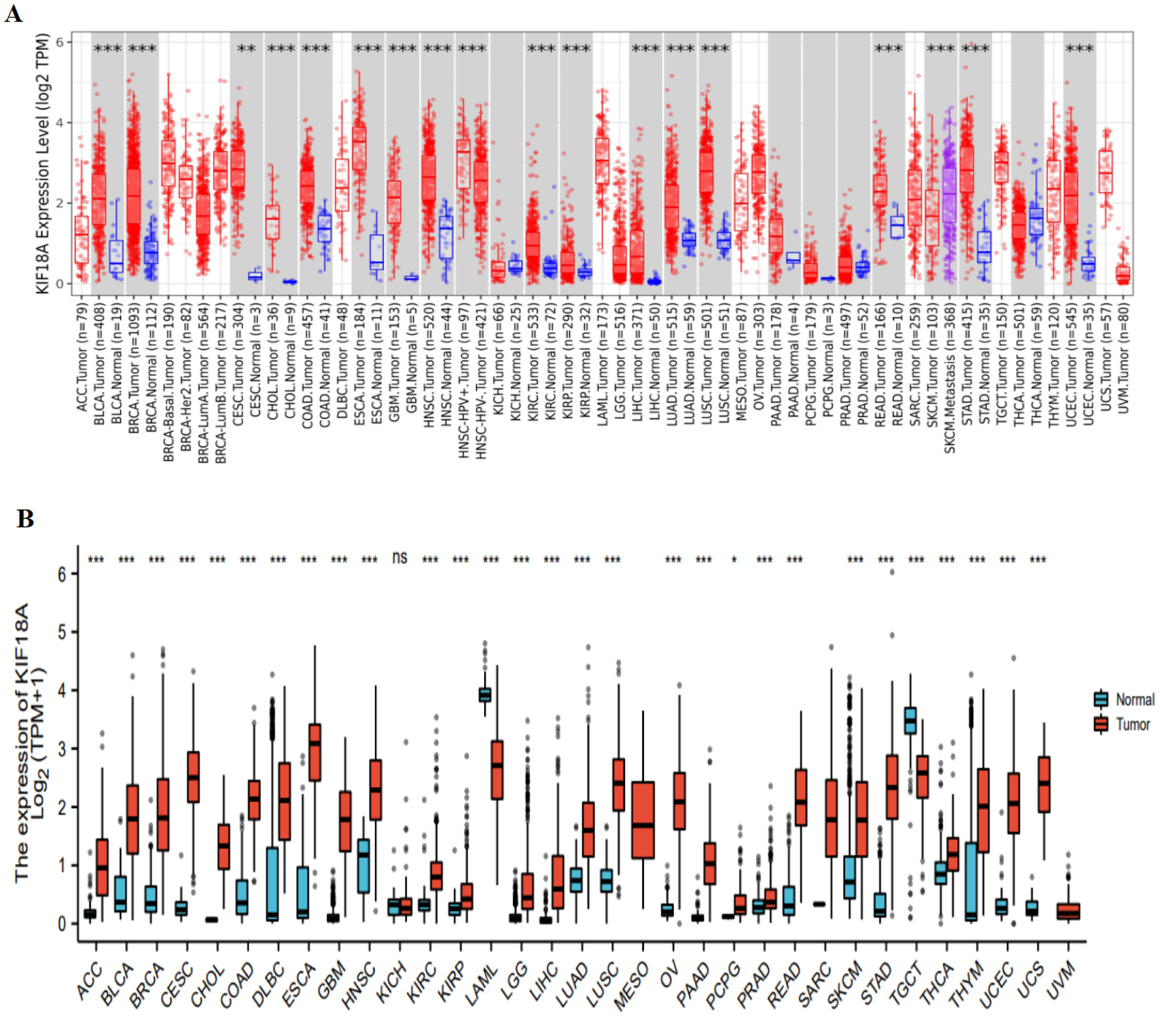 Biomolecules 13 00326 g001a Biomolecules 13 00326 g001a