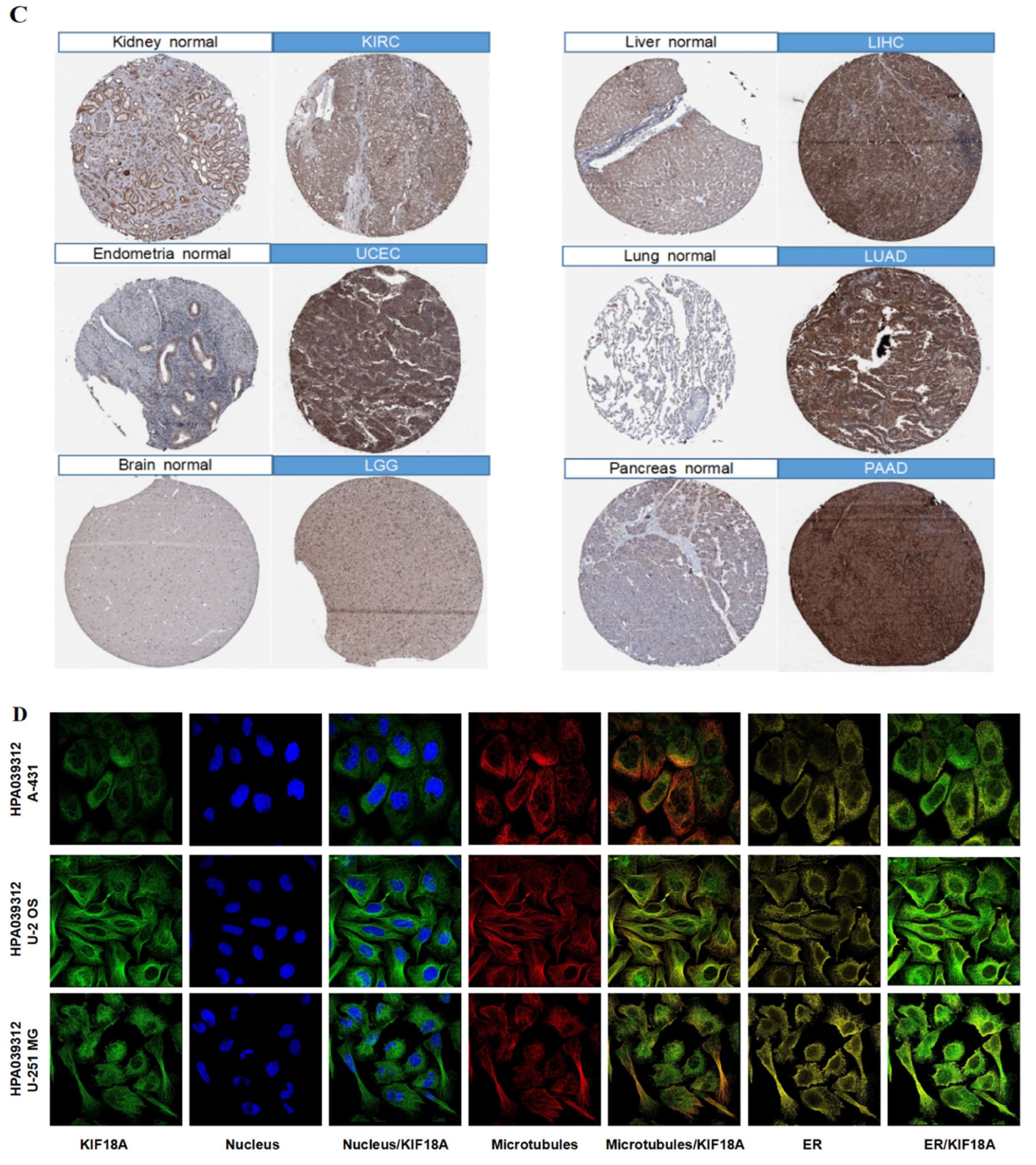 Biomolecules 13 00326 g001b Biomolecules 13 00326 g001b