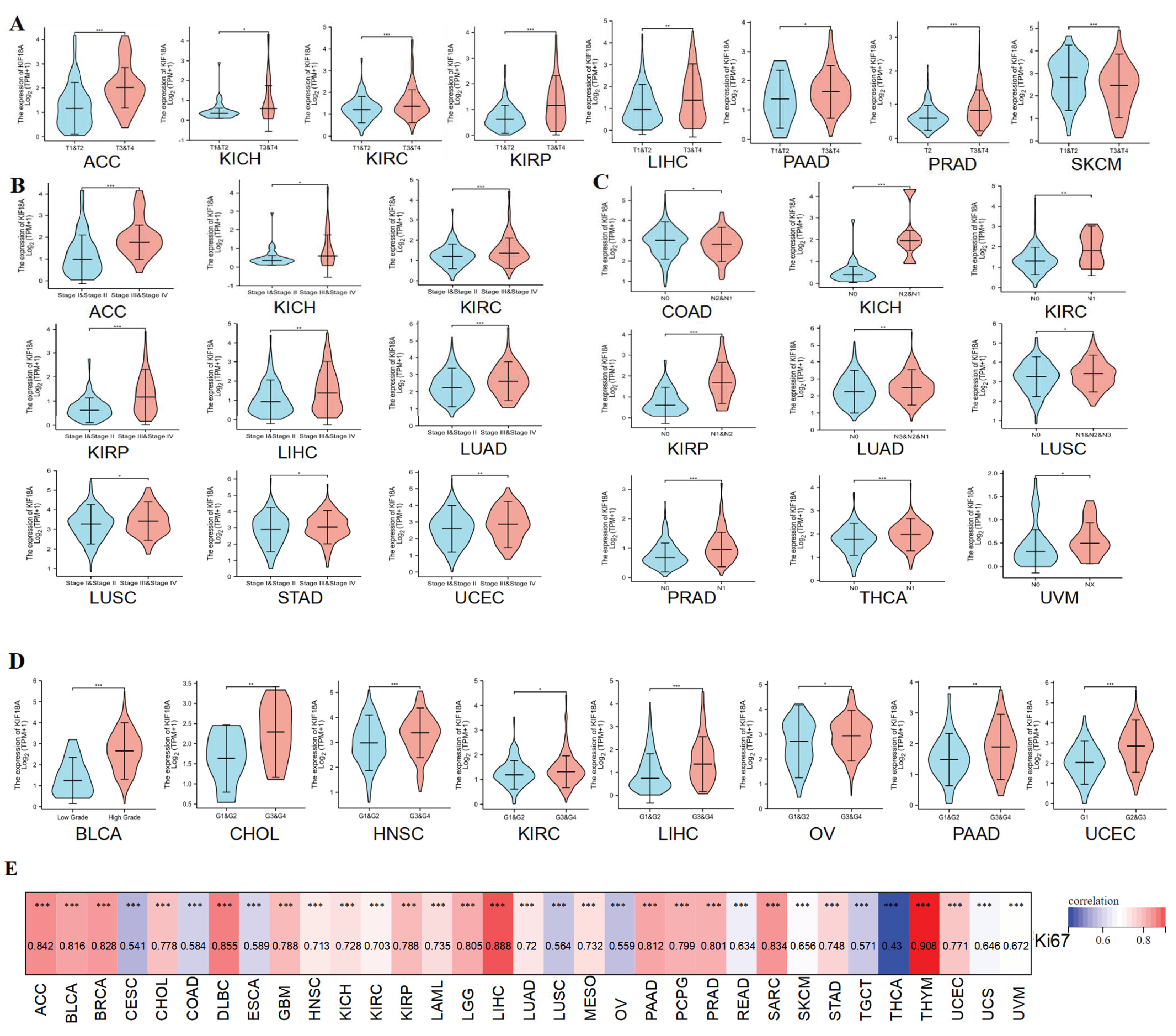 Biomolecules 13 00326 g002 Biomolecules 13 00326 g002