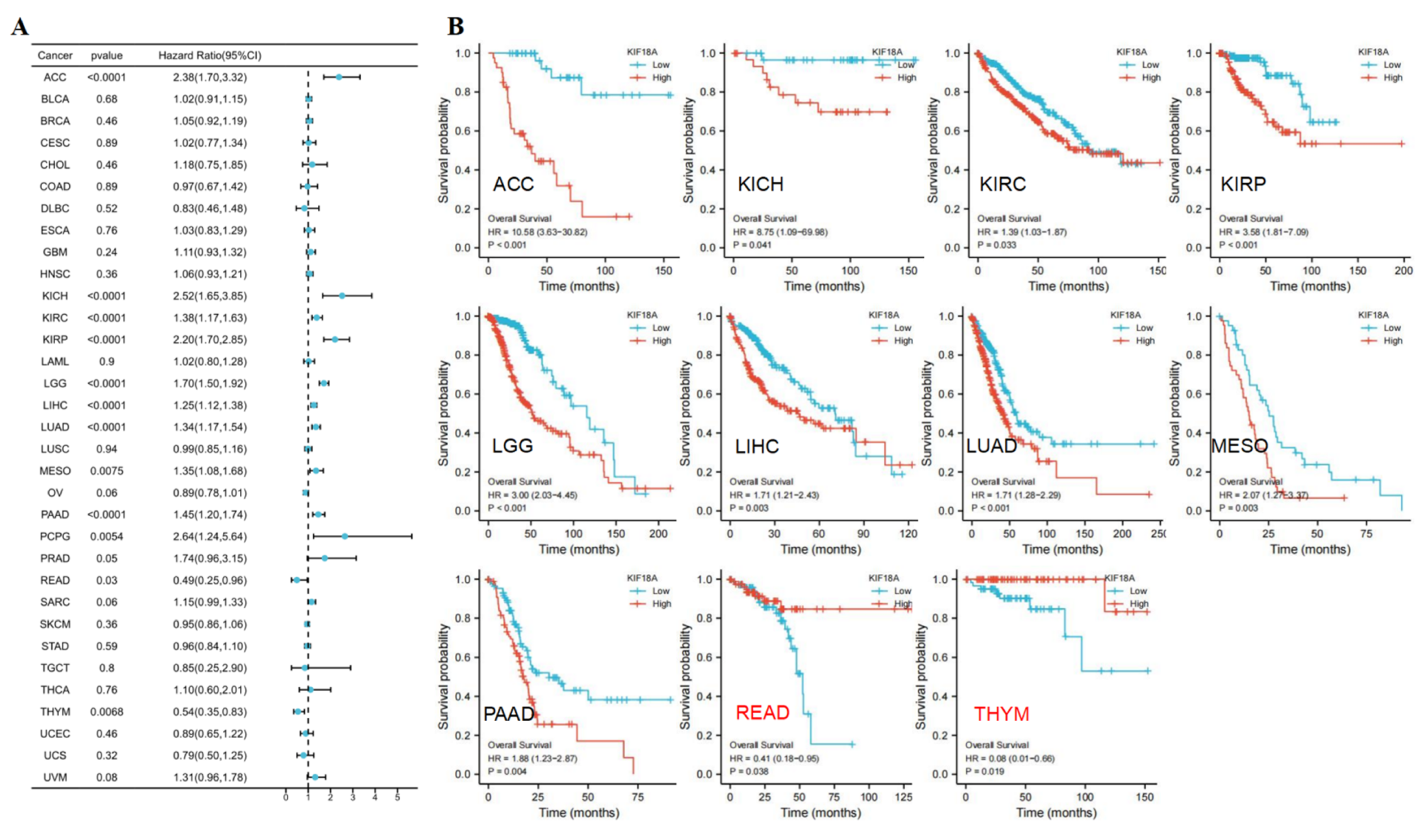 Biomolecules 13 00326 g003a Biomolecules 13 00326 g003a