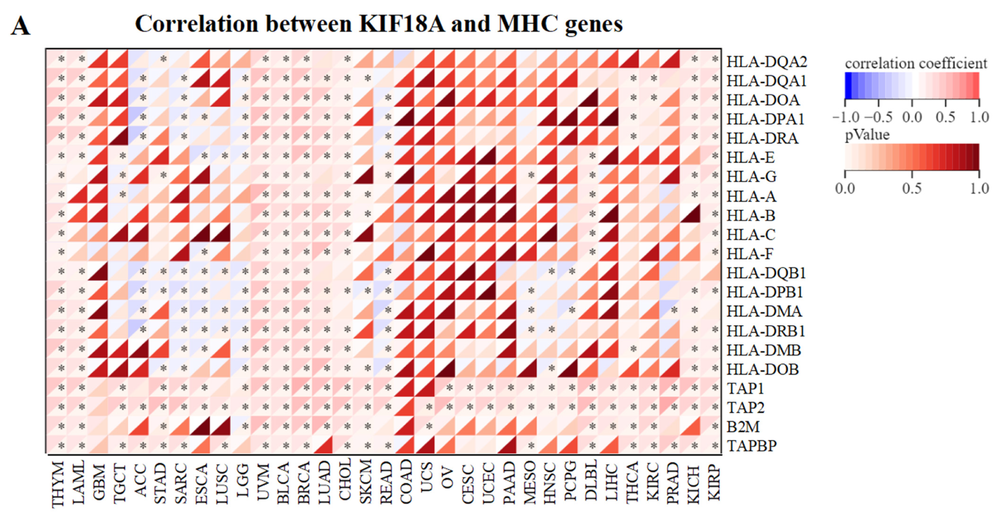 Biomolecules 13 00326 g005a Biomolecules 13 00326 g005a