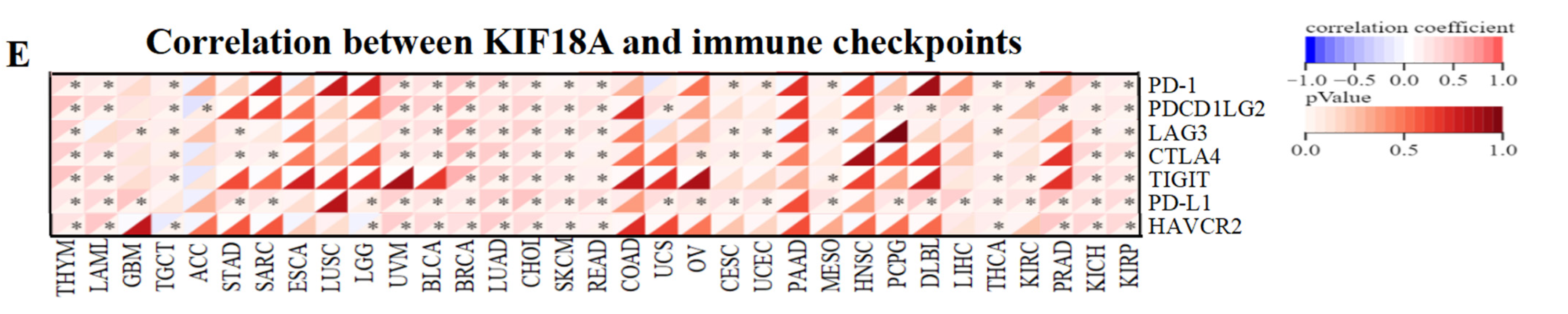 Biomolecules 13 00326 g005d Biomolecules 13 00326 g005d