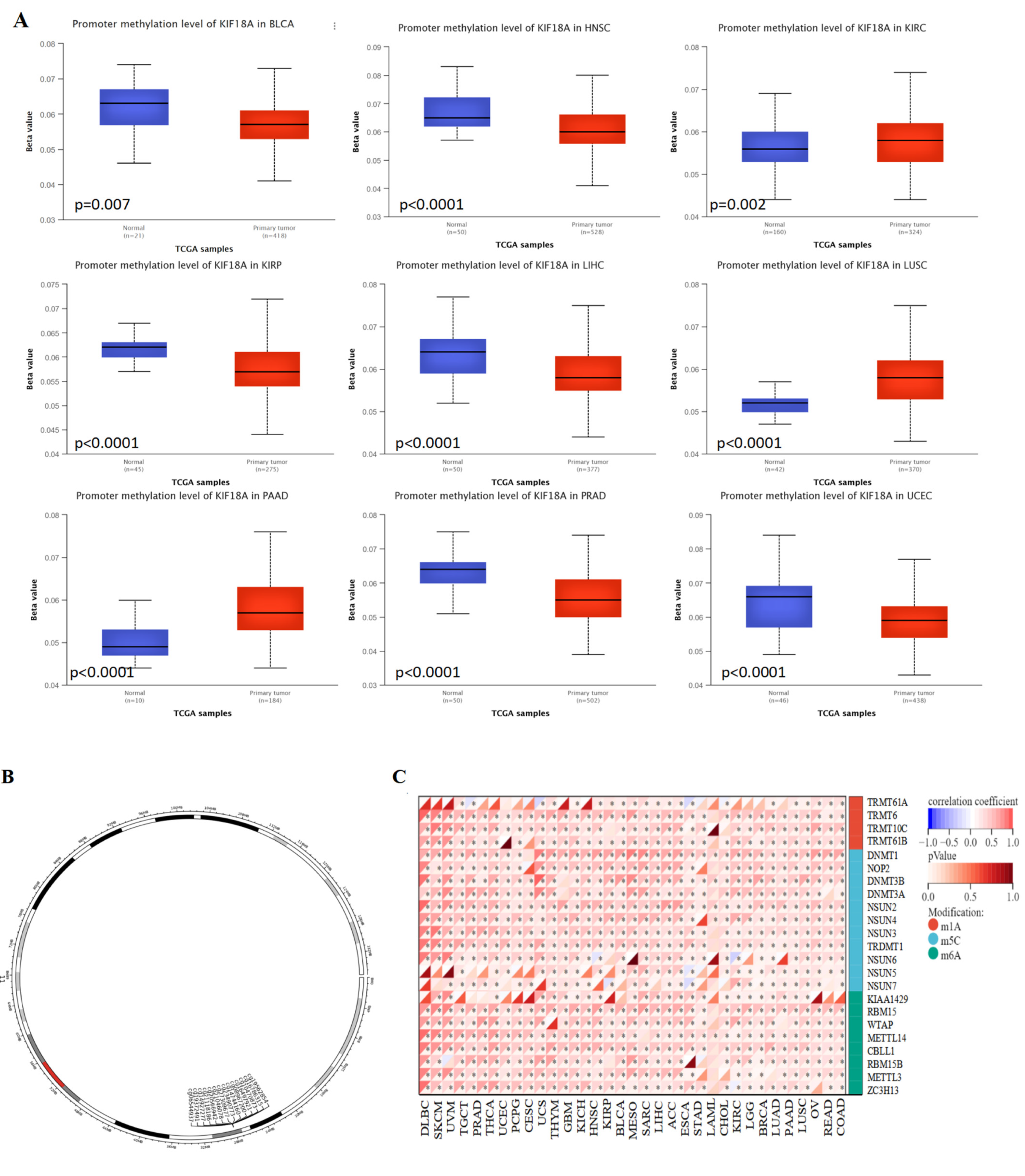 Biomolecules 13 00326 g008 Biomolecules 13 00326 g008