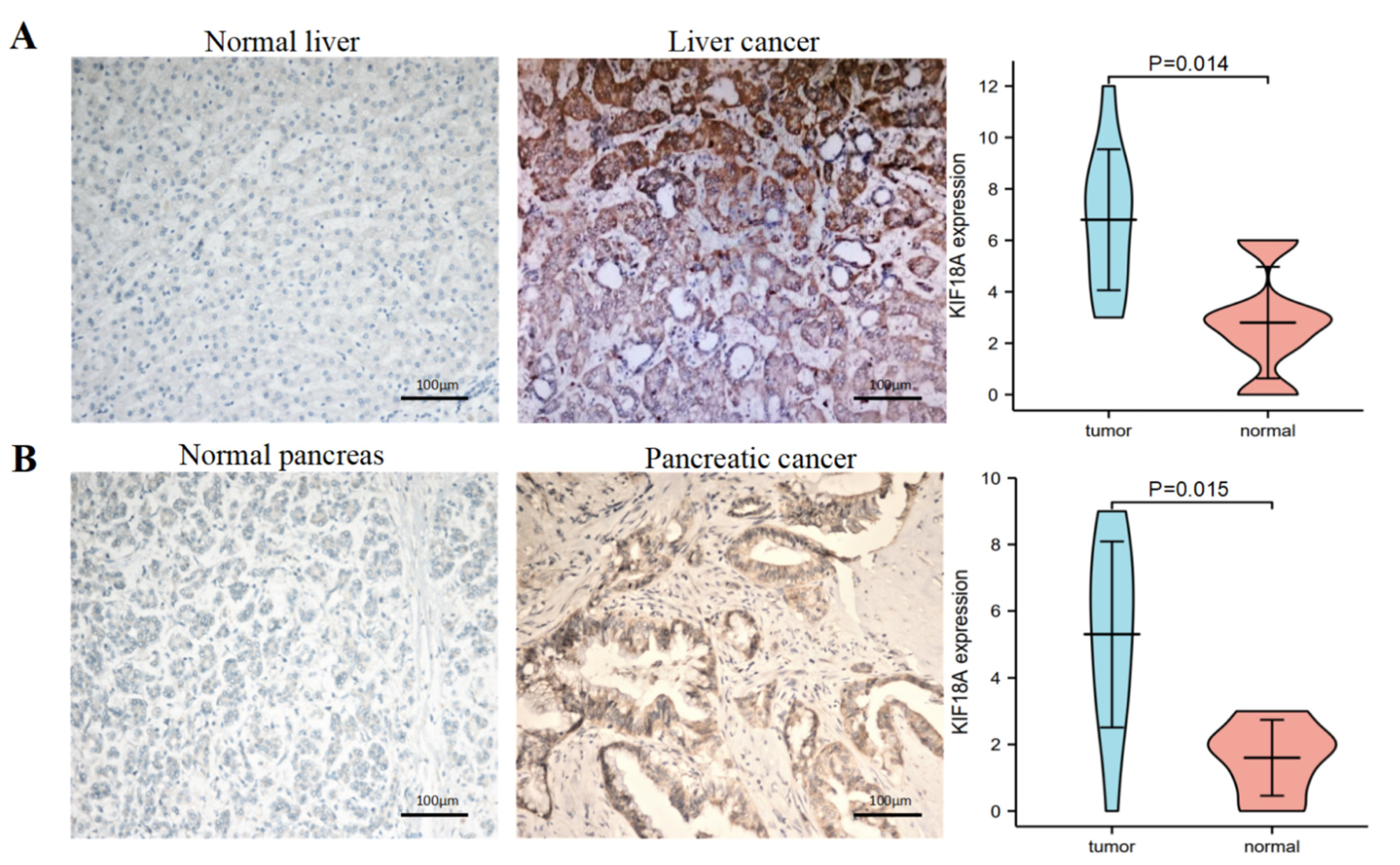 Biomolecules 13 00326 g012 Biomolecules 13 00326 g012