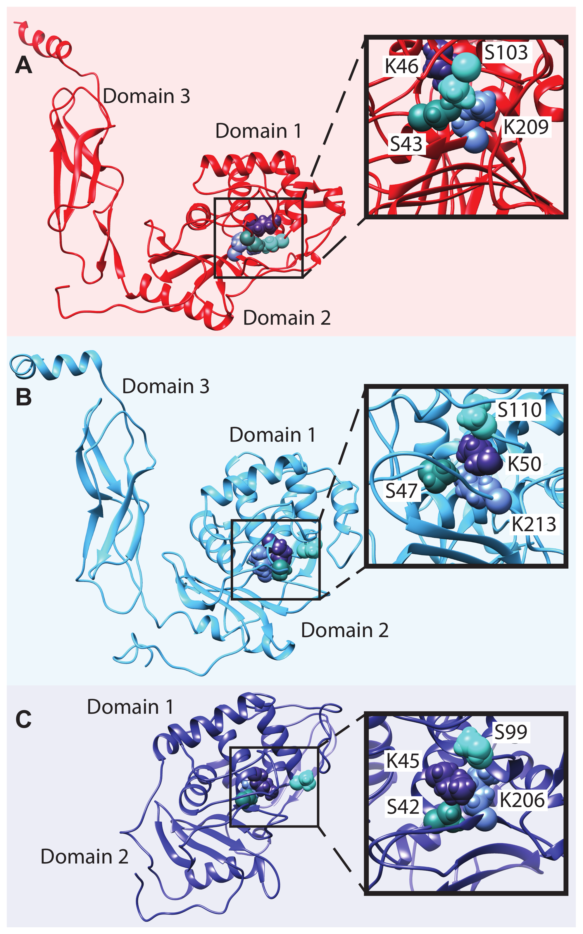 Biomolecules 13 00328 g004