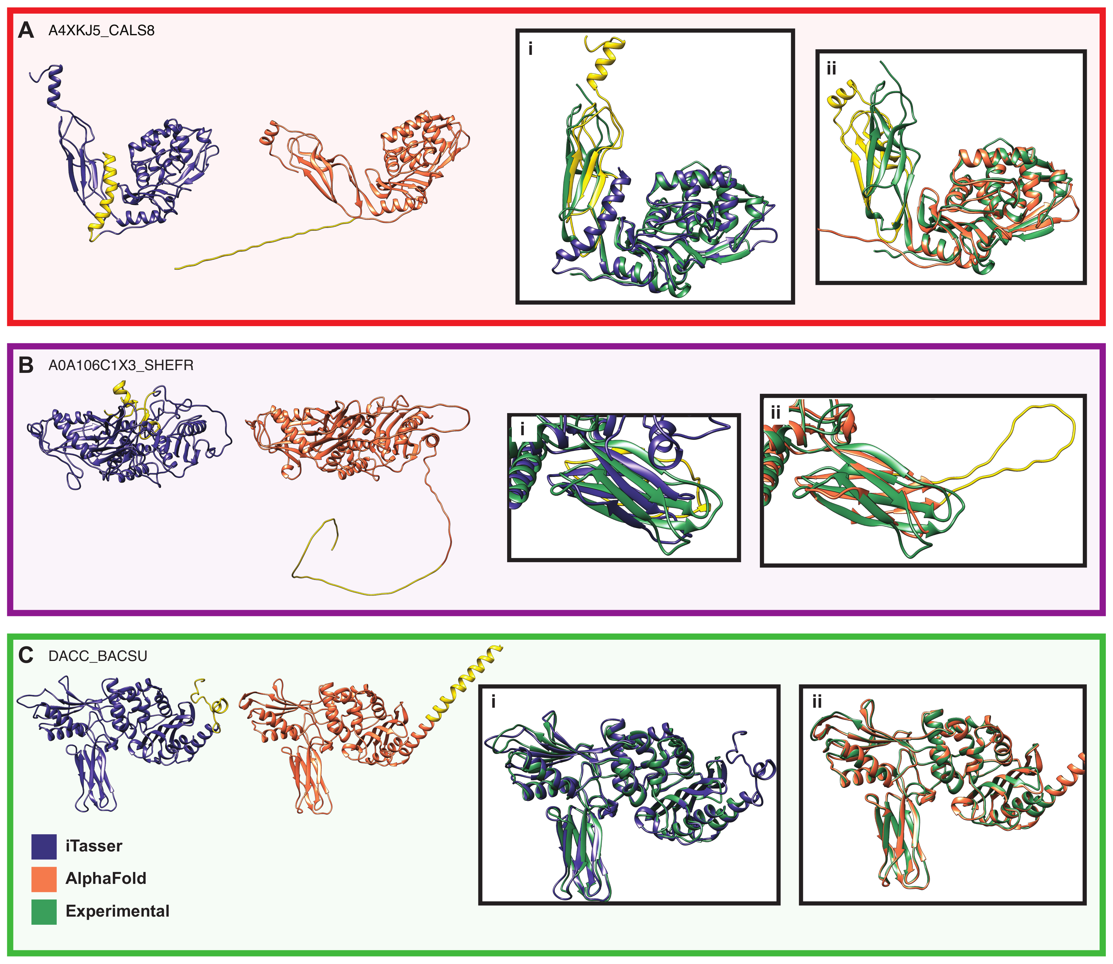 Biomolecules 13 00328 g016
