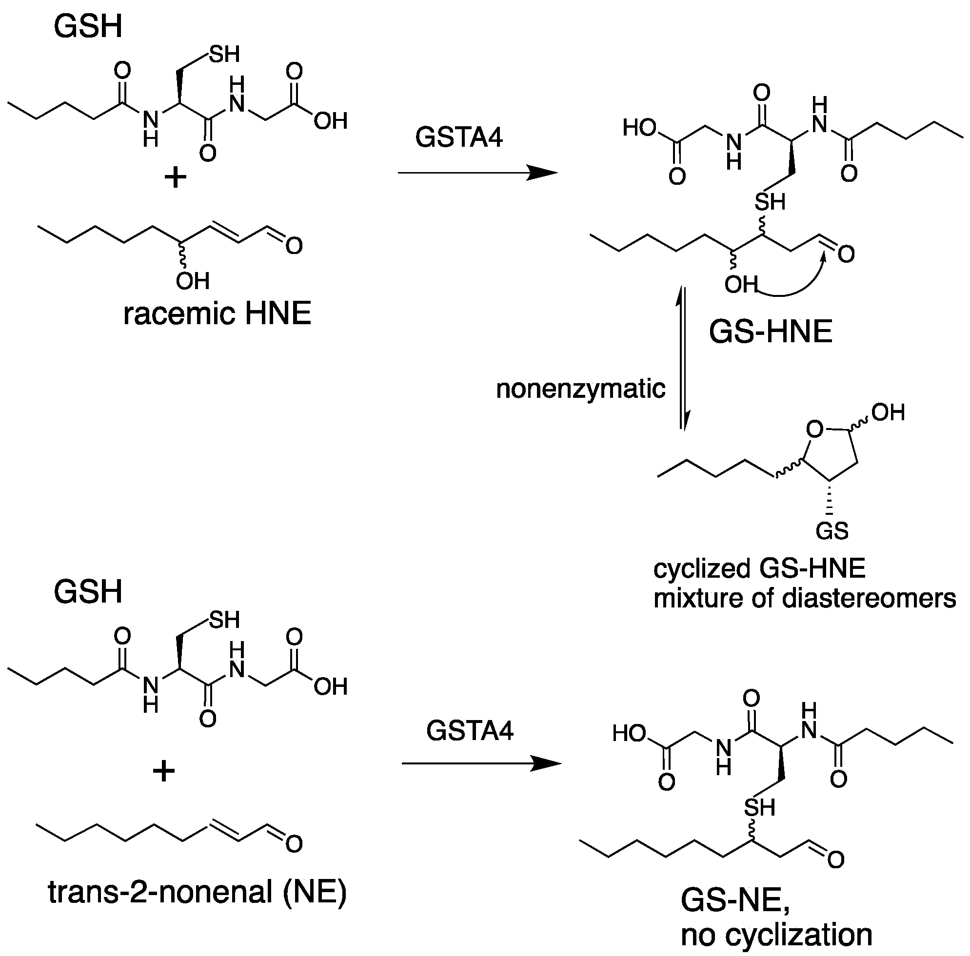 Biomolecules 13 00329 g001