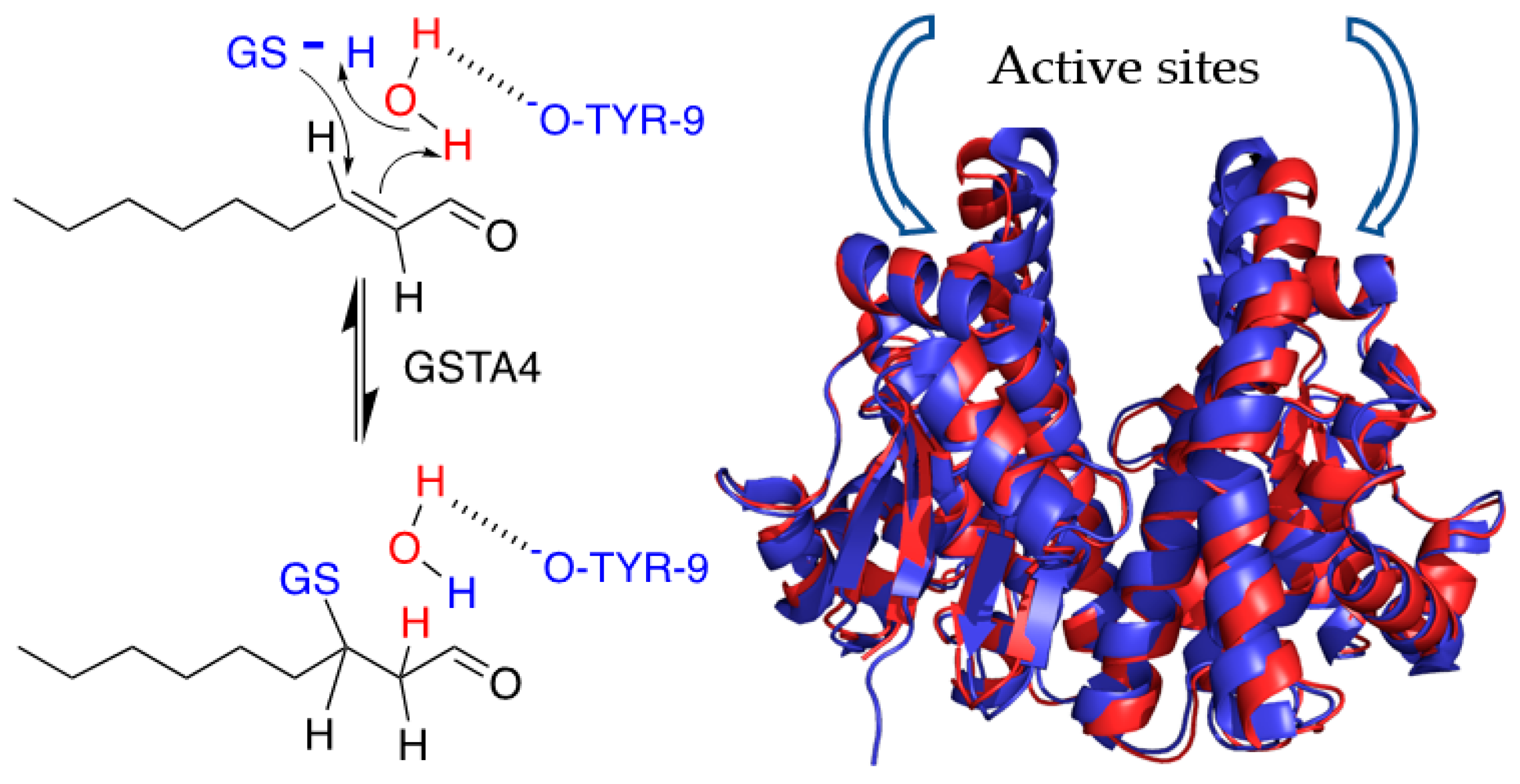 Biomolecules 13 00329 g002
